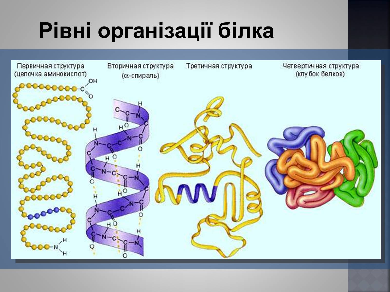 Презентація на тему «Хімія та їжа» (варіант 1) - Слайд #18 Презентація на тему «Хімія та їжа» (варіант 1) - Слайд #18