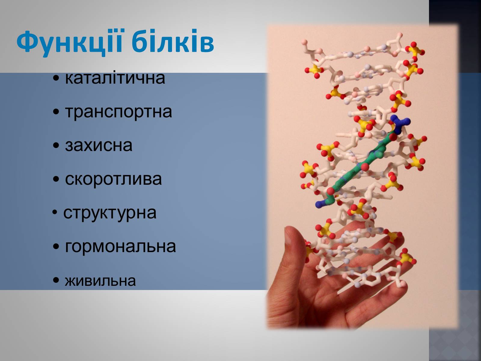 Презентація на тему «Хімія та їжа» (варіант 1) - Слайд #20 Презентація на тему «Хімія та їжа» (варіант 1) - Слайд #20