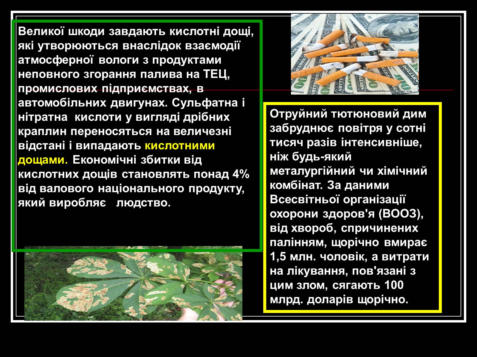 Презентація на тему «Хімія і екологія» (варіант 1) - Слайд #5 Презентація на тему «Хімія і екологія» (варіант 1) - Слайд #5