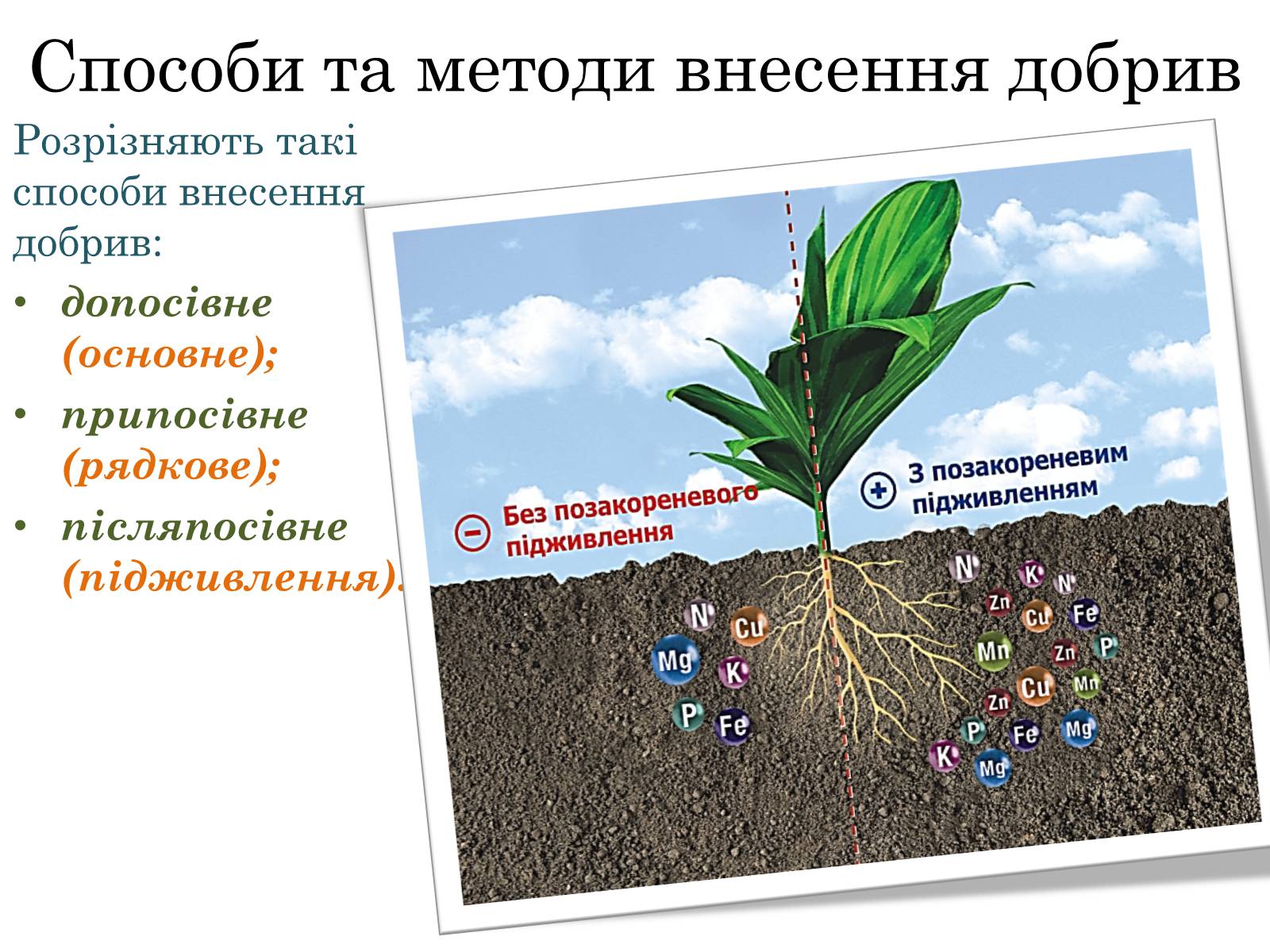 Презентація на тему «Загальна характеристика добрив» - Слайд #11 Презентація на тему «Загальна характеристика добрив» - Слайд #11