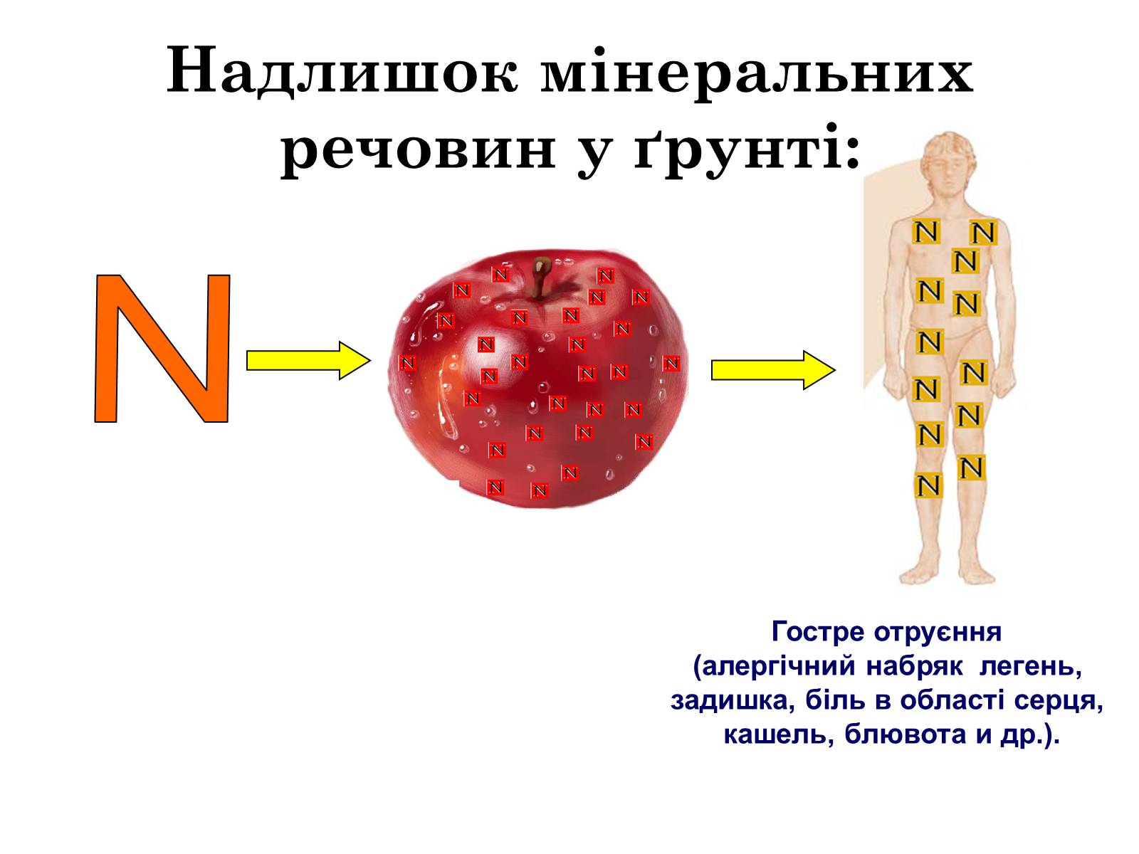 Презентація на тему «Загальна характеристика добрив» - Слайд #12 Презентація на тему «Загальна характеристика добрив» - Слайд #12