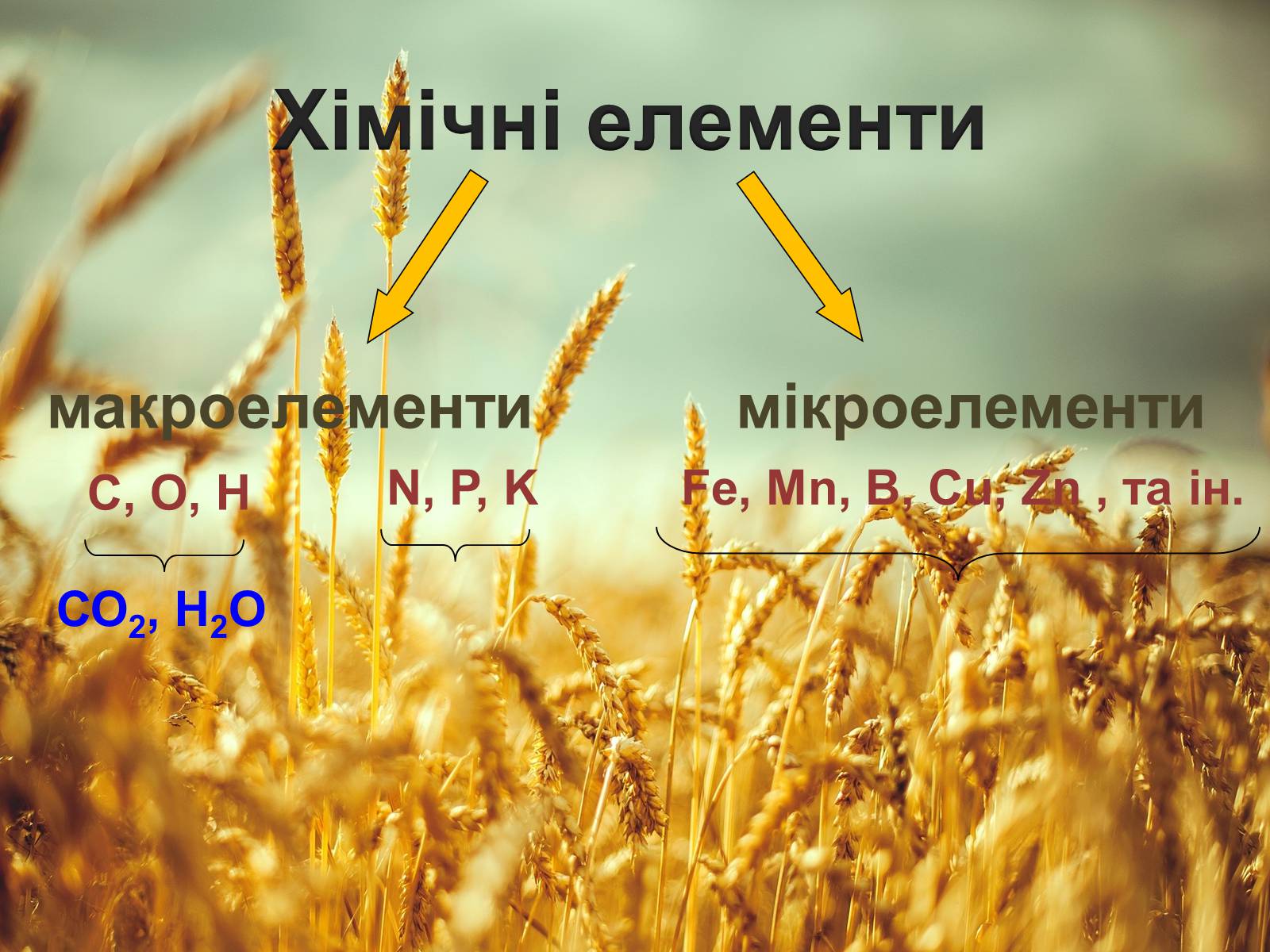 Презентація на тему «Загальна характеристика добрив» - Слайд #5 Презентація на тему «Загальна характеристика добрив» - Слайд #5