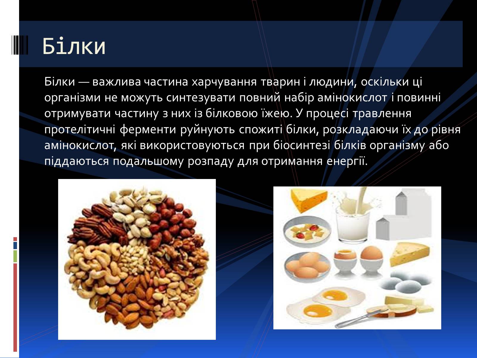 Презентація на тему «Органічні речовини» (варіант 2) - Слайд #5 Презентація на тему «Органічні речовини» (варіант 2) - Слайд #5