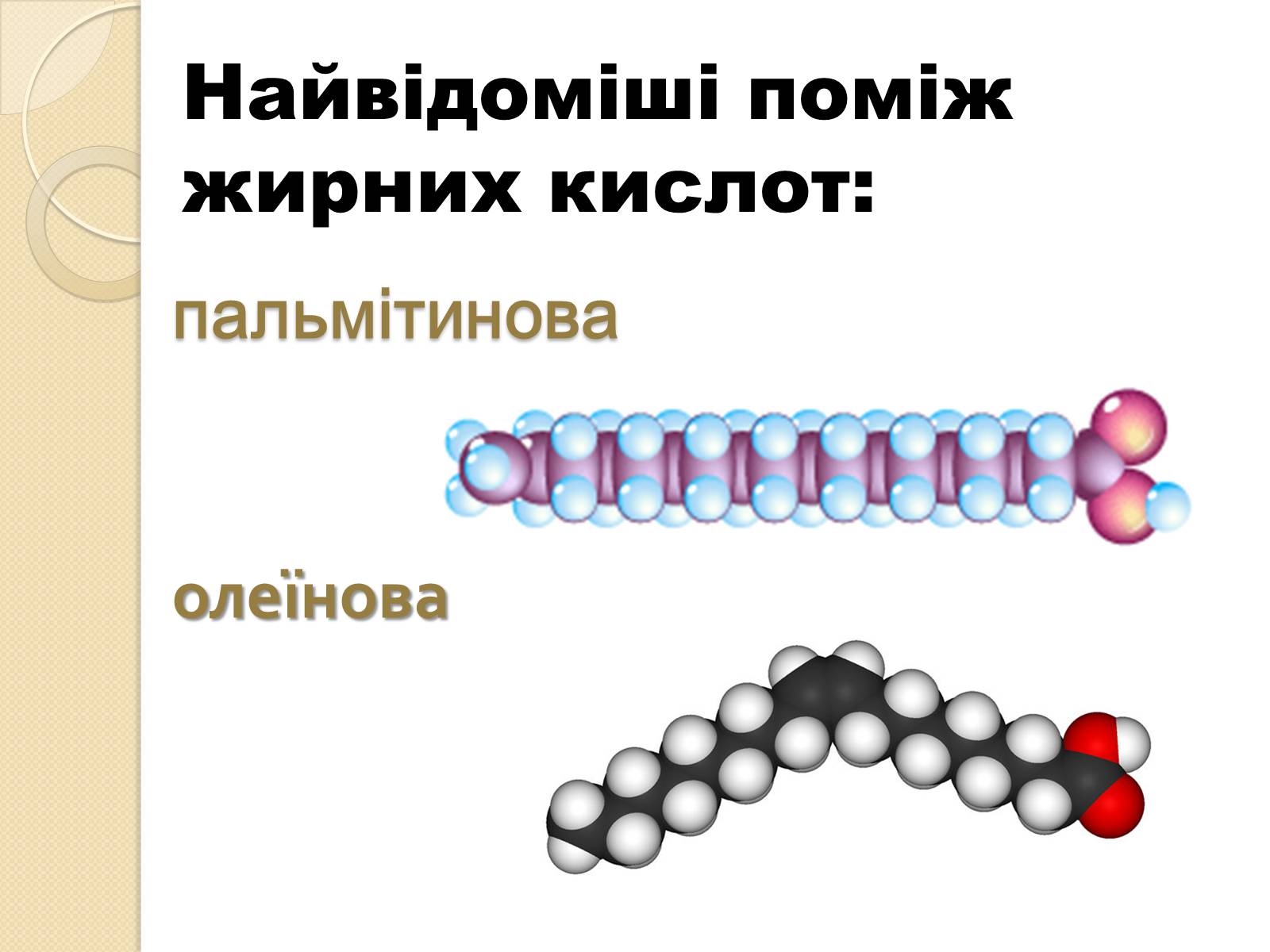 Презентація на тему «Жири» (варіант 3) - Слайд #6 Презентація на тему «Жири» (варіант 3) - Слайд #6