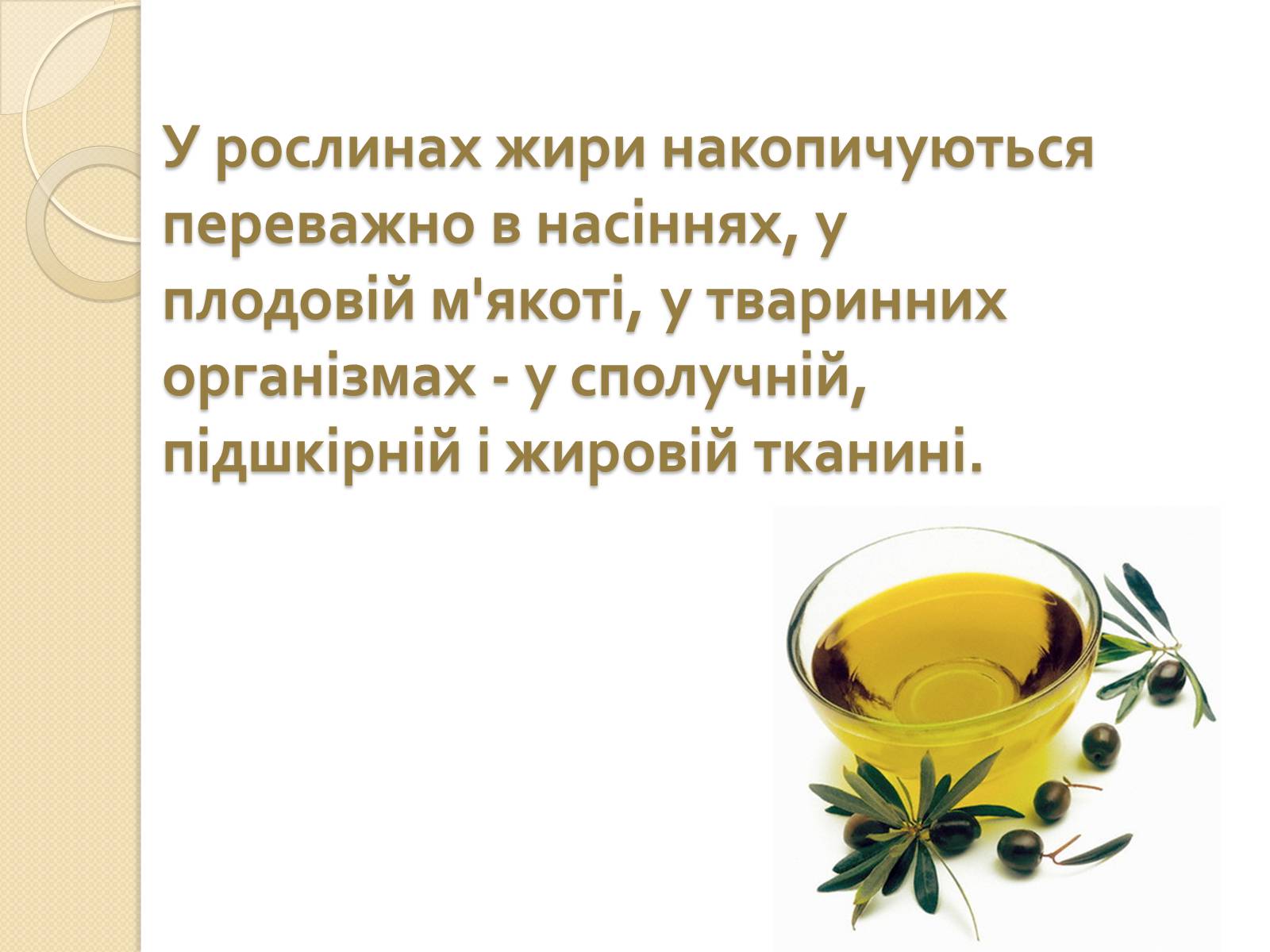 Презентація на тему «Жири» (варіант 3) - Слайд #7 Презентація на тему «Жири» (варіант 3) - Слайд #7