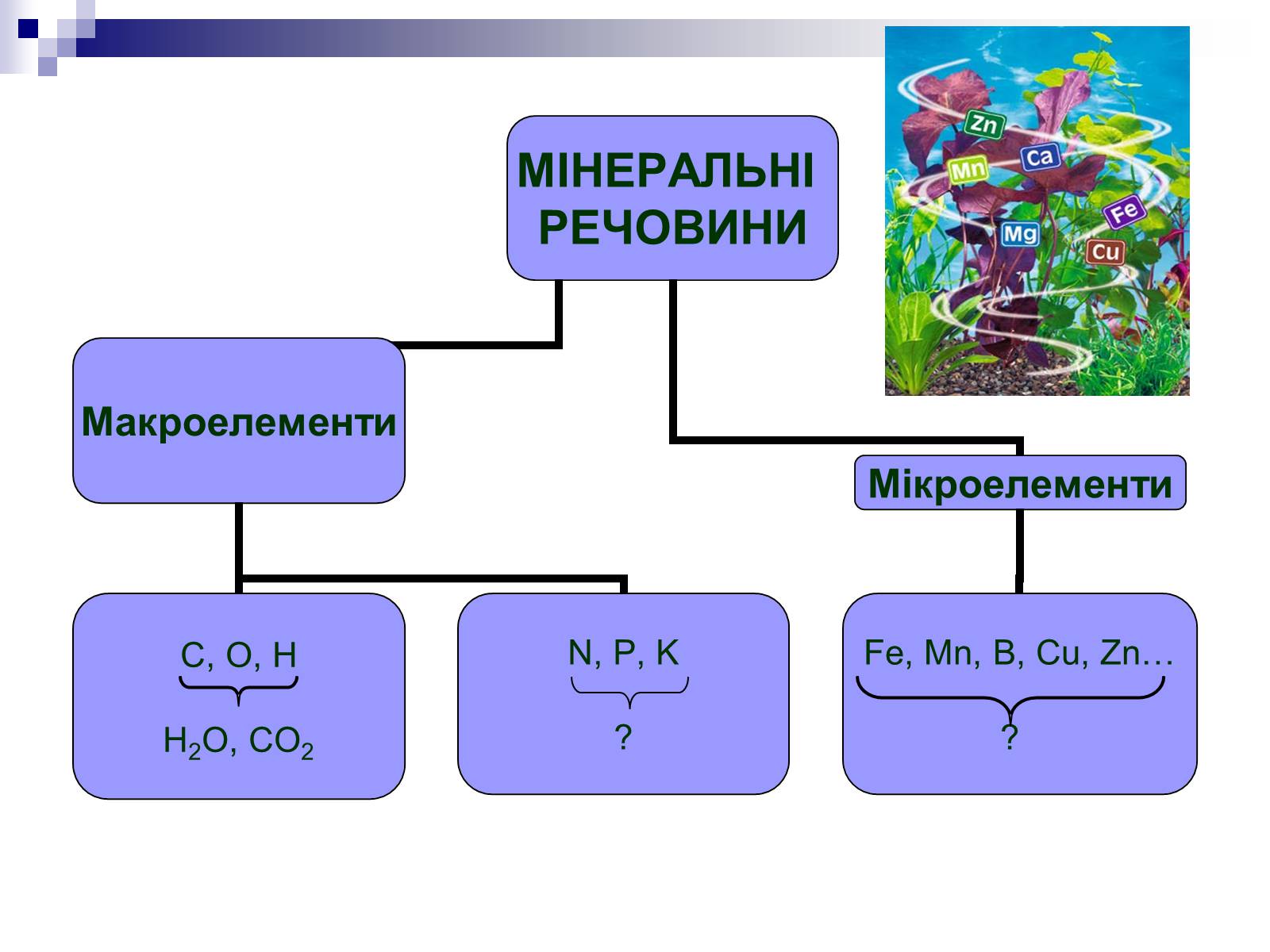 Презентація на тему «Мінеральні добрива» (варіант 2) - Слайд #4 Презентація на тему «Мінеральні добрива» (варіант 2) - Слайд #4