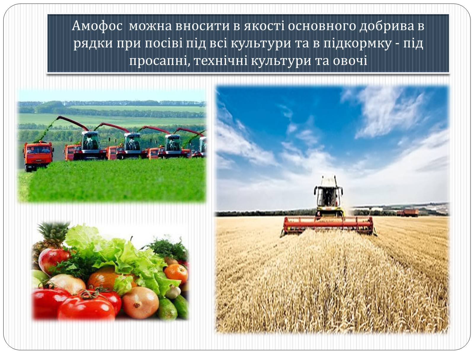 Презентація на тему «Фосфатні добрива у нашому житті» - Слайд #12 Презентація на тему «Фосфатні добрива у нашому житті» - Слайд #12