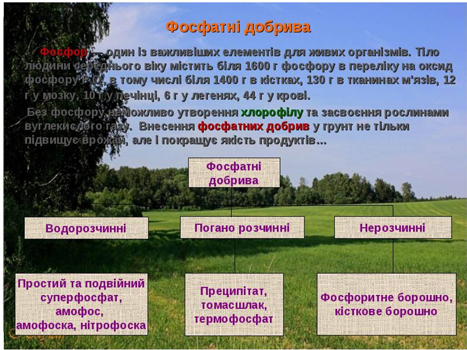 Презентація на тему «Фосфатні добрива у нашому житті» - Слайд #3 Презентація на тему «Фосфатні добрива у нашому житті» - Слайд #3