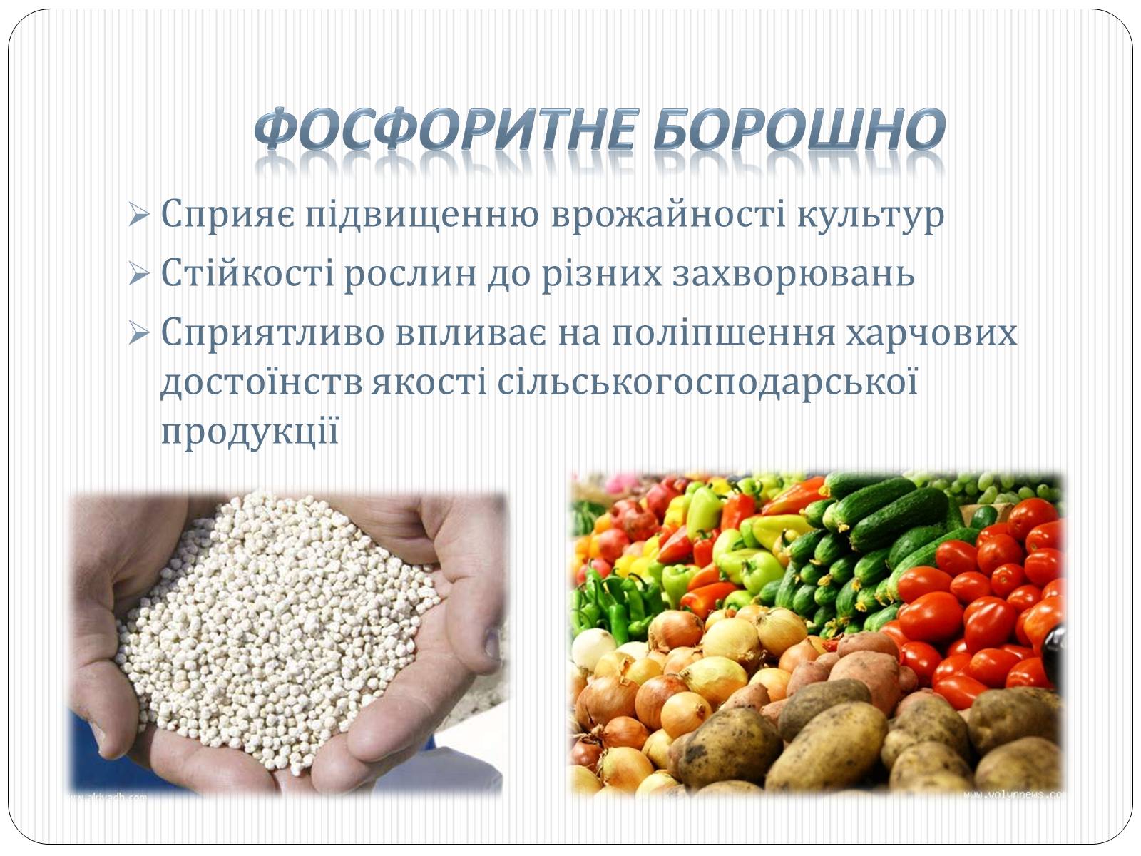 Презентація на тему «Фосфатні добрива у нашому житті» - Слайд #4 Презентація на тему «Фосфатні добрива у нашому житті» - Слайд #4