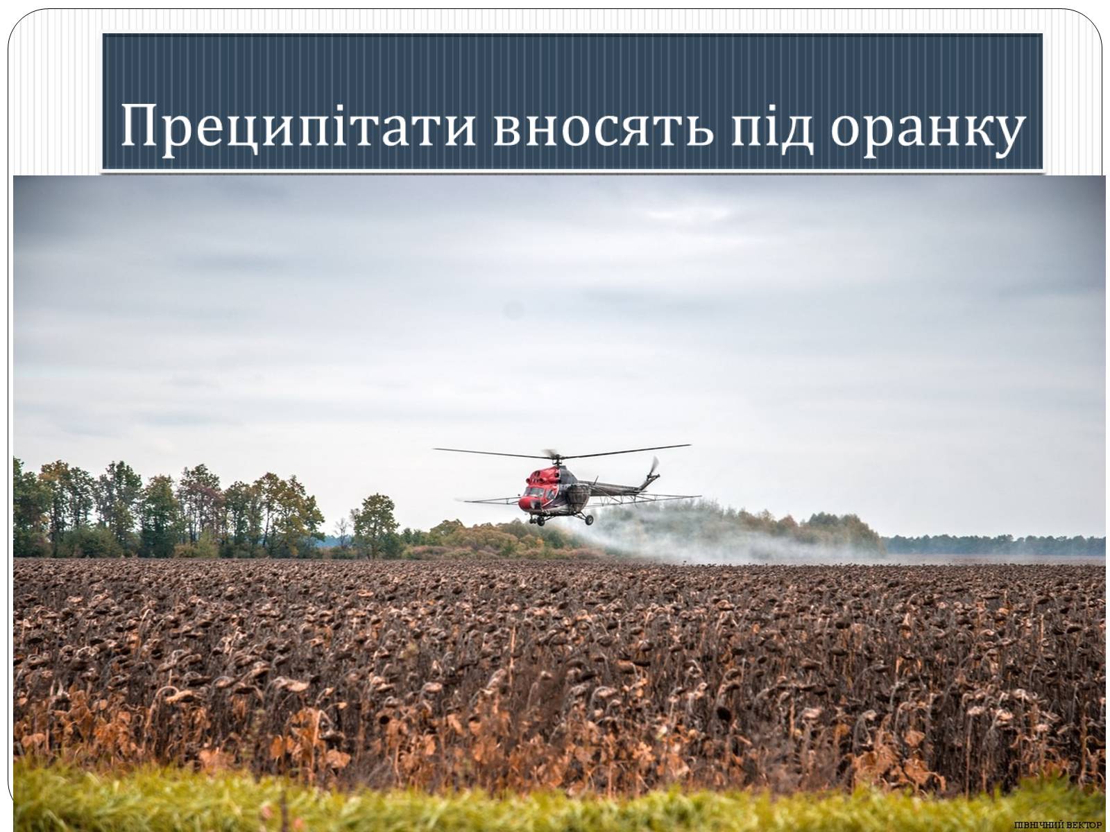 Презентація на тему «Фосфатні добрива у нашому житті» - Слайд #9 Презентація на тему «Фосфатні добрива у нашому житті» - Слайд #9