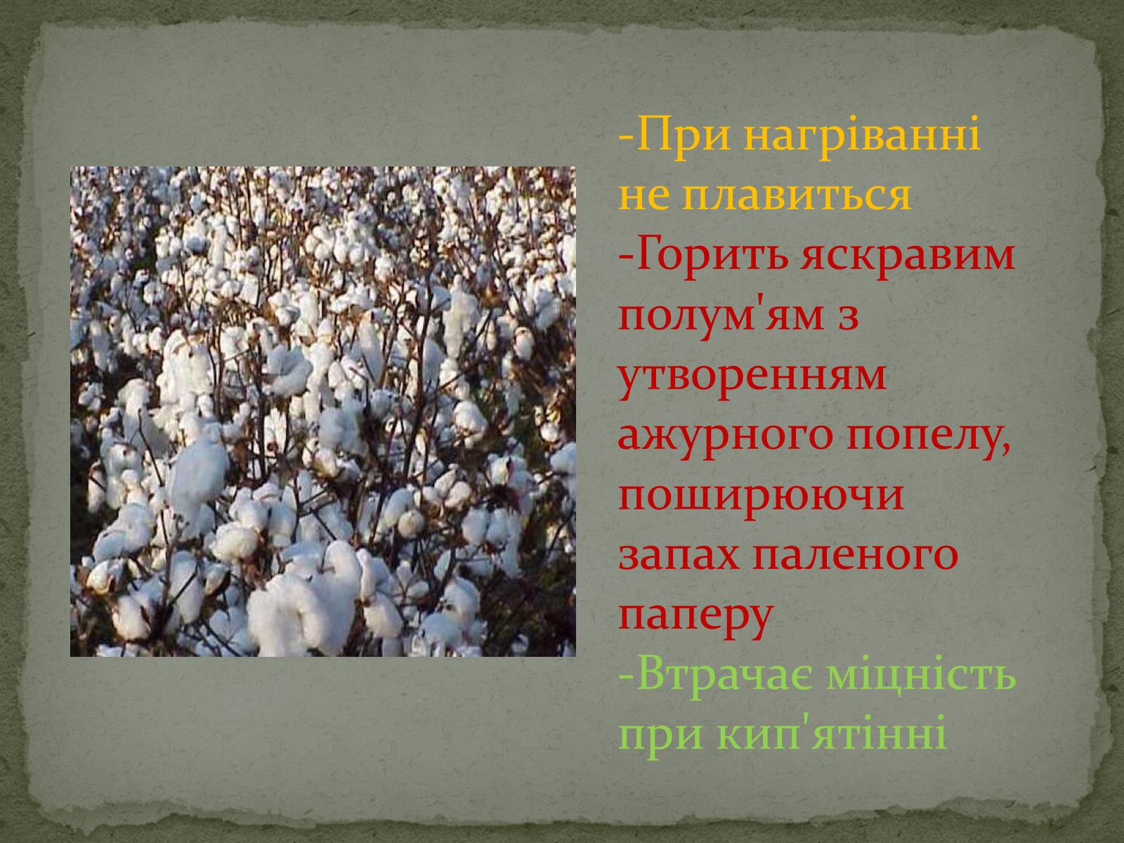 Презентація на тему «Тканини» - Слайд #13 Презентація на тему «Тканини» - Слайд #13