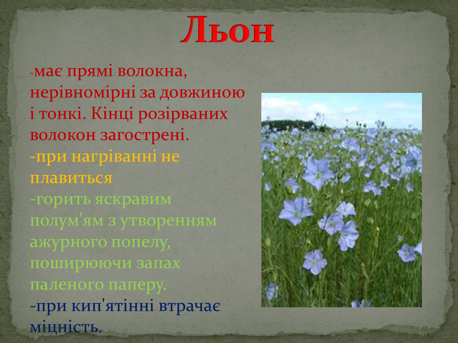 Презентація на тему «Тканини» - Слайд #15 Презентація на тему «Тканини» - Слайд #15