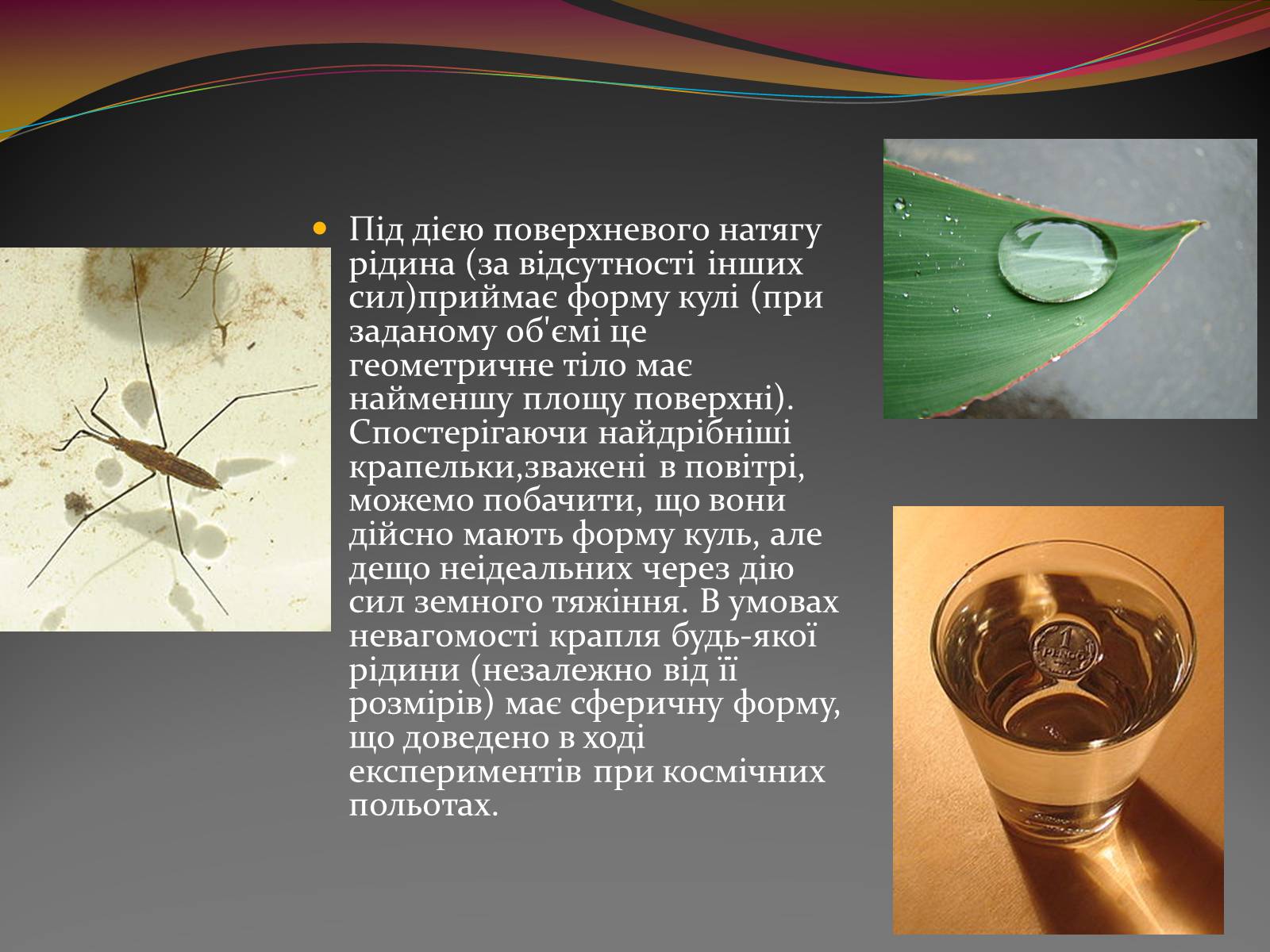 Презентація на тему «Вода — найбільш незвичайна речовина в світі» - Слайд #14 Презентація на тему «Вода — найбільш незвичайна речовина в світі» - Слайд #14