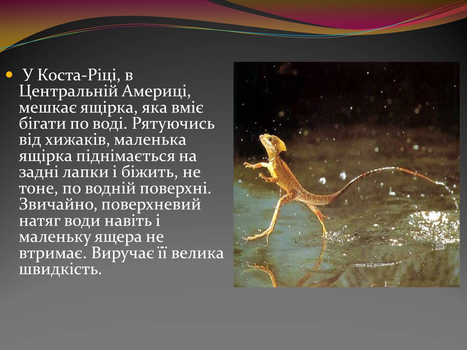 Презентація на тему «Вода — найбільш незвичайна речовина в світі» - Слайд #15 Презентація на тему «Вода — найбільш незвичайна речовина в світі» - Слайд #15