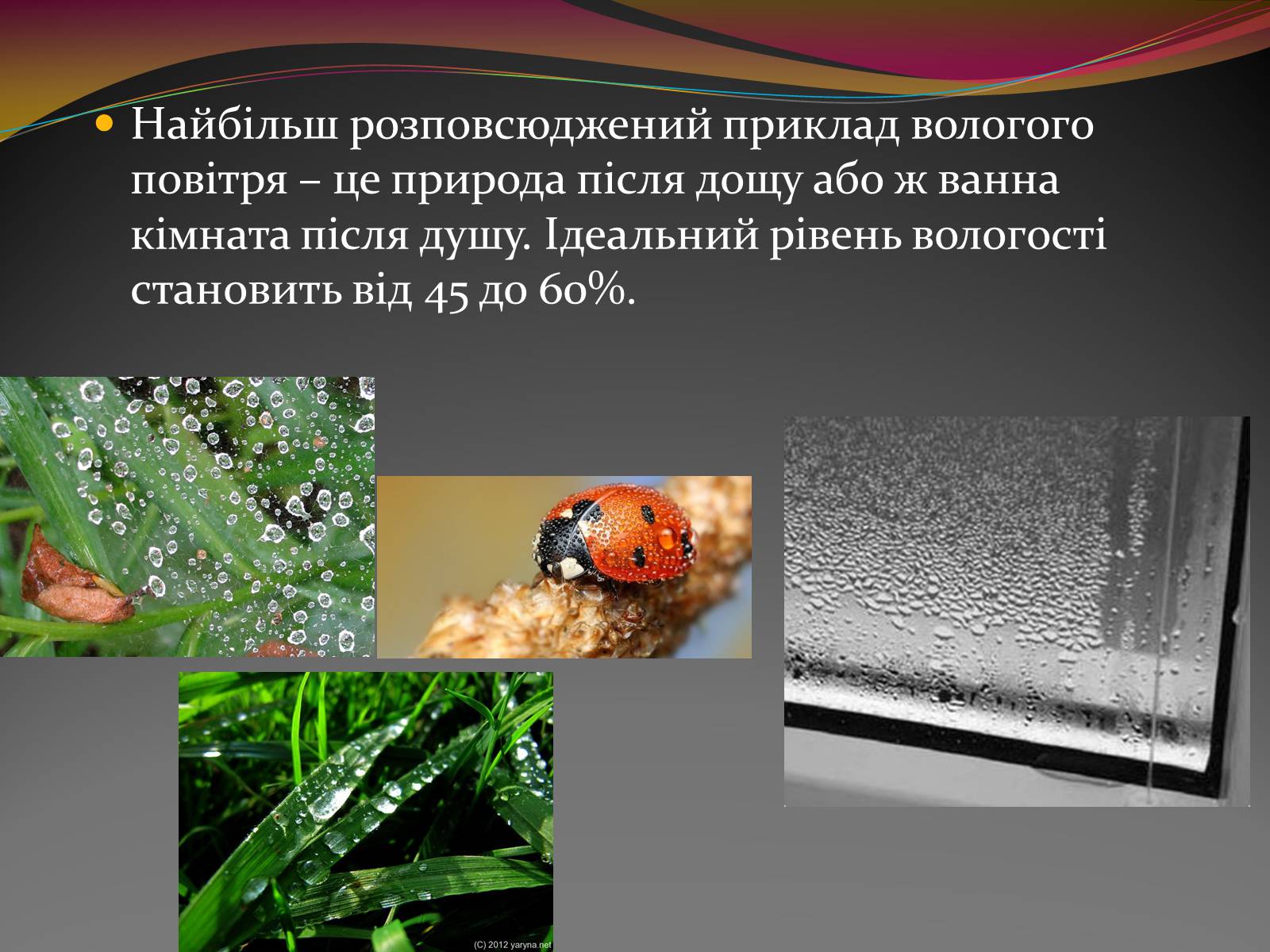 Презентація на тему «Вода — найбільш незвичайна речовина в світі» - Слайд #6 Презентація на тему «Вода — найбільш незвичайна речовина в світі» - Слайд #6