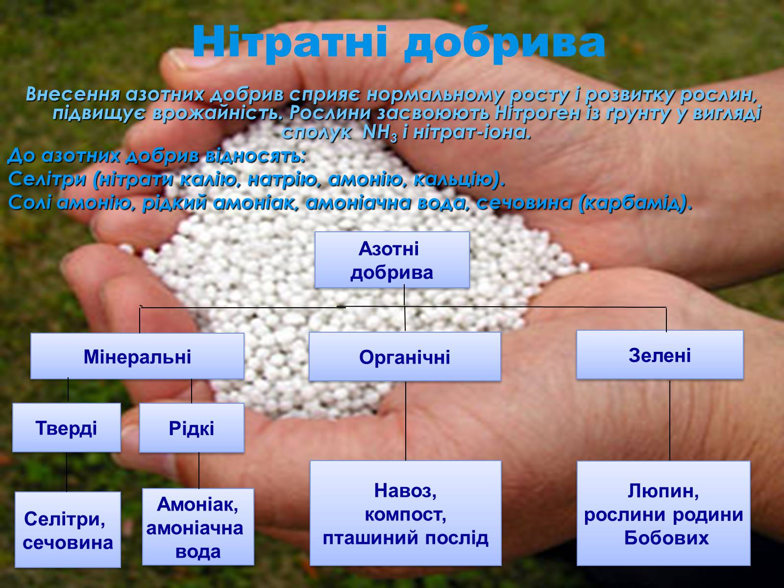 Презентація на тему «Мінеральні добрива» (варіант 4) - Слайд #3 Презентація на тему «Мінеральні добрива» (варіант 4) - Слайд #3