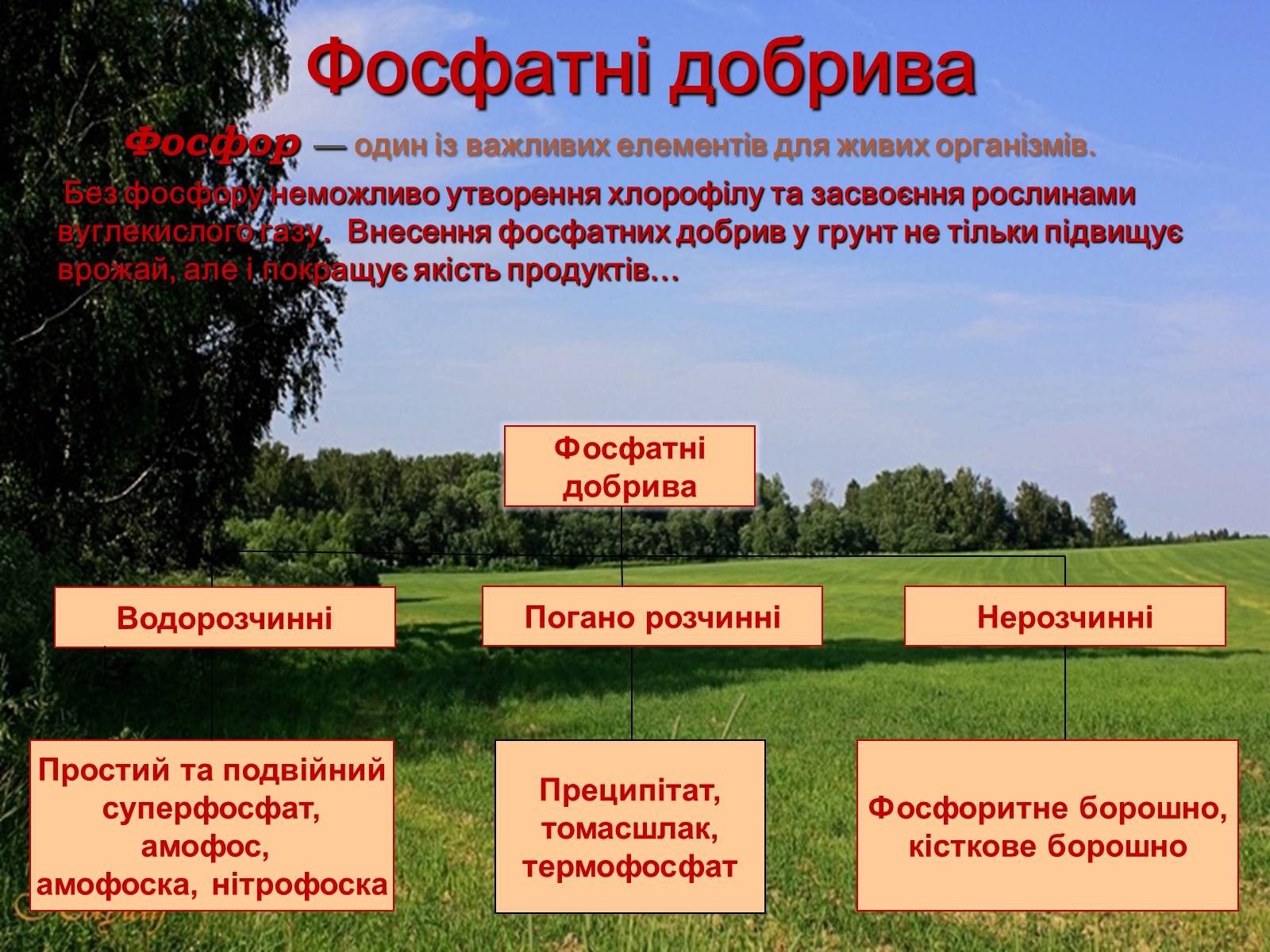 Презентація на тему «Мінеральні добрива» (варіант 4) - Слайд #4 Презентація на тему «Мінеральні добрива» (варіант 4) - Слайд #4