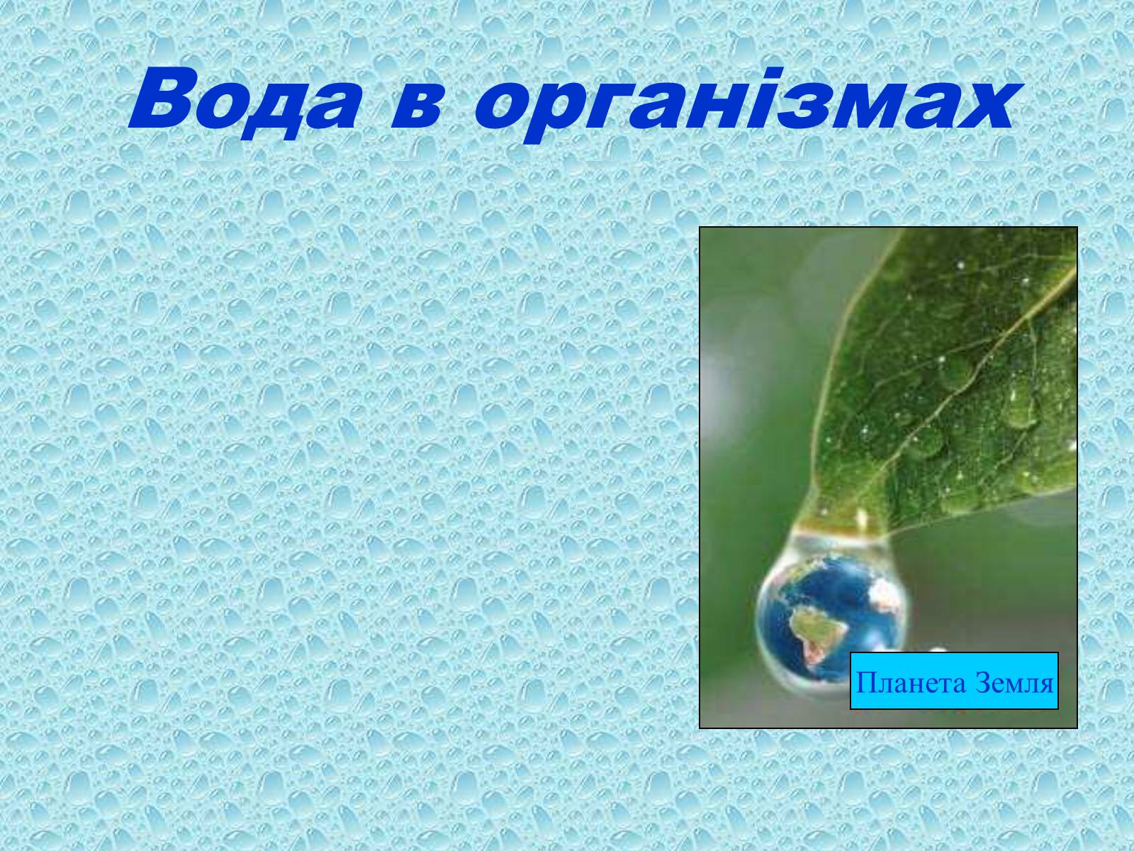 Презентація на тему «Вода в організмах» (варіант 1) - Слайд #1 Презентація на тему «Вода в організмах» (варіант 1) - Слайд #1