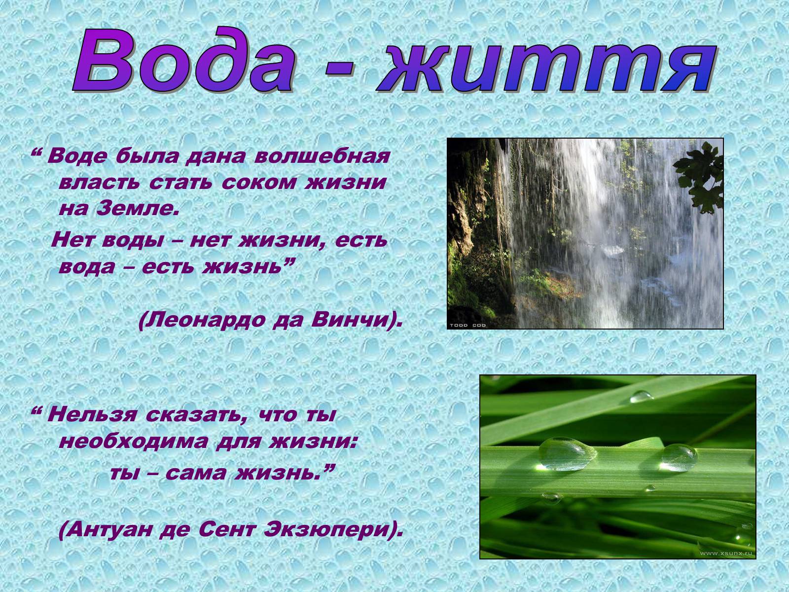 Презентація на тему «Вода в організмах» (варіант 1) - Слайд #2 Презентація на тему «Вода в організмах» (варіант 1) - Слайд #2