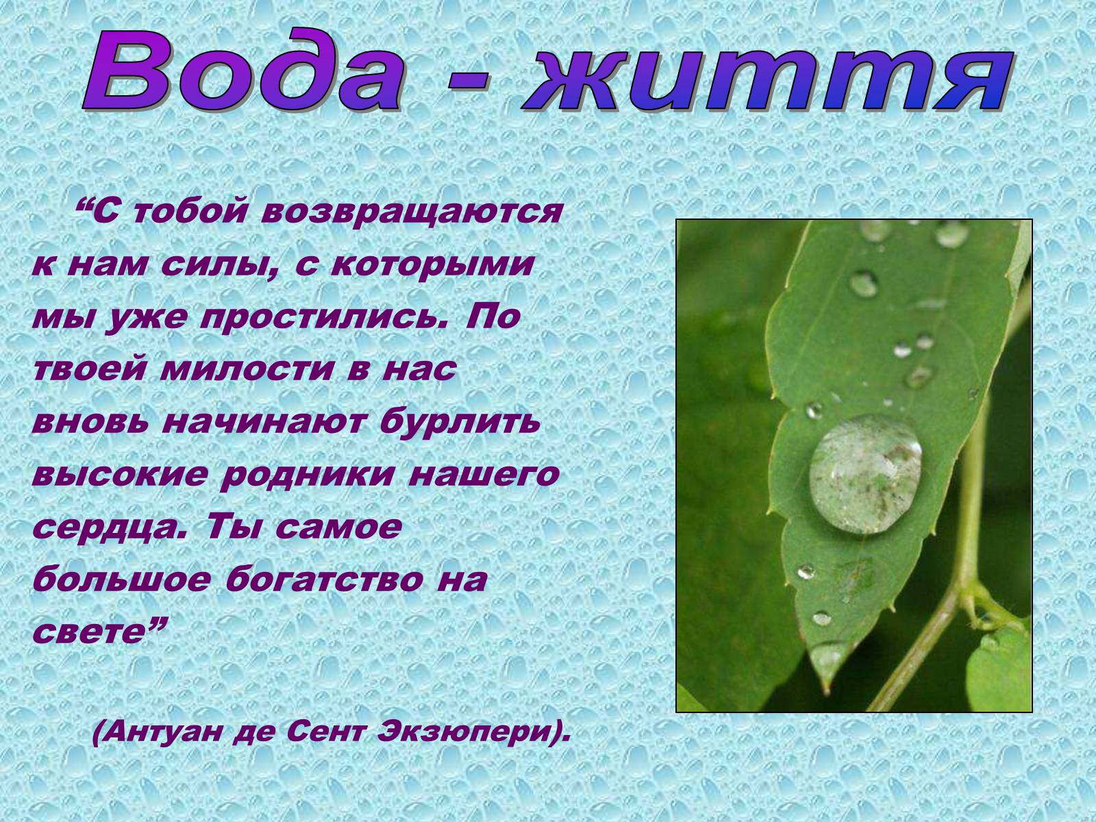 Презентація на тему «Вода в організмах» (варіант 1) - Слайд #3 Презентація на тему «Вода в організмах» (варіант 1) - Слайд #3