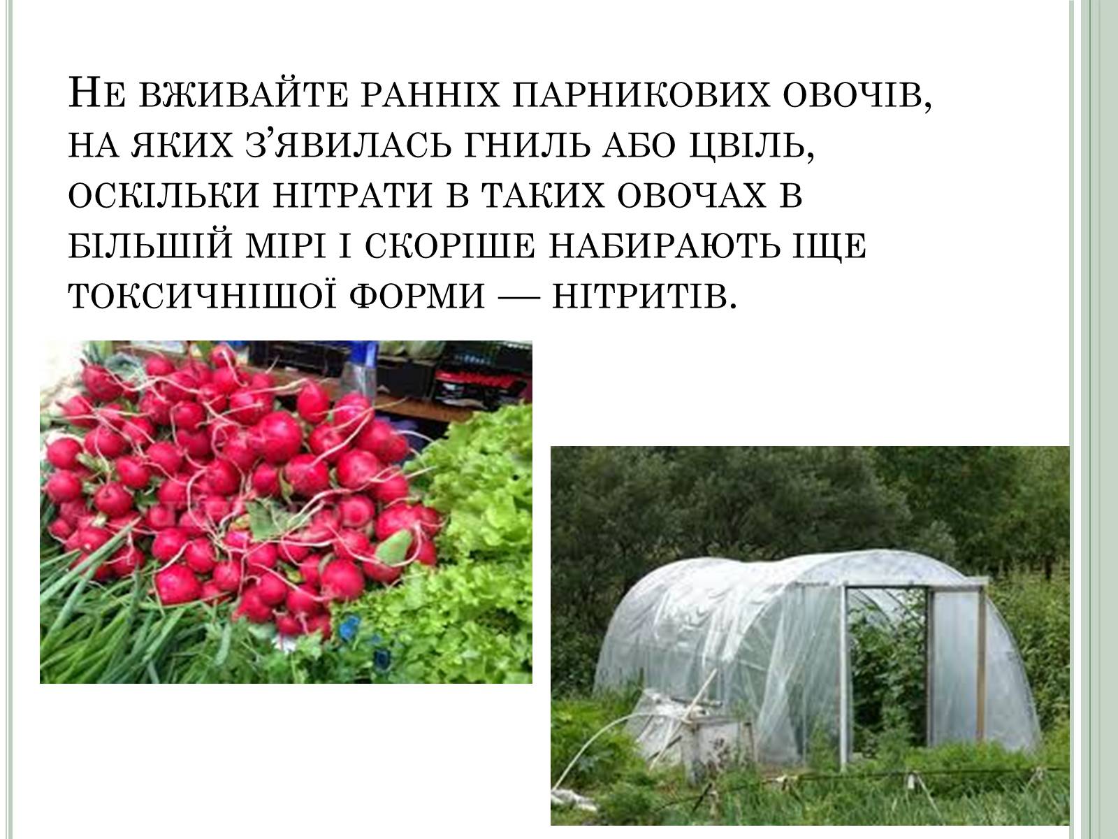 Презентація на тему «Нітратні добрива в продукції СГ» - Слайд #11 Презентація на тему «Нітратні добрива в продукції СГ» - Слайд #11