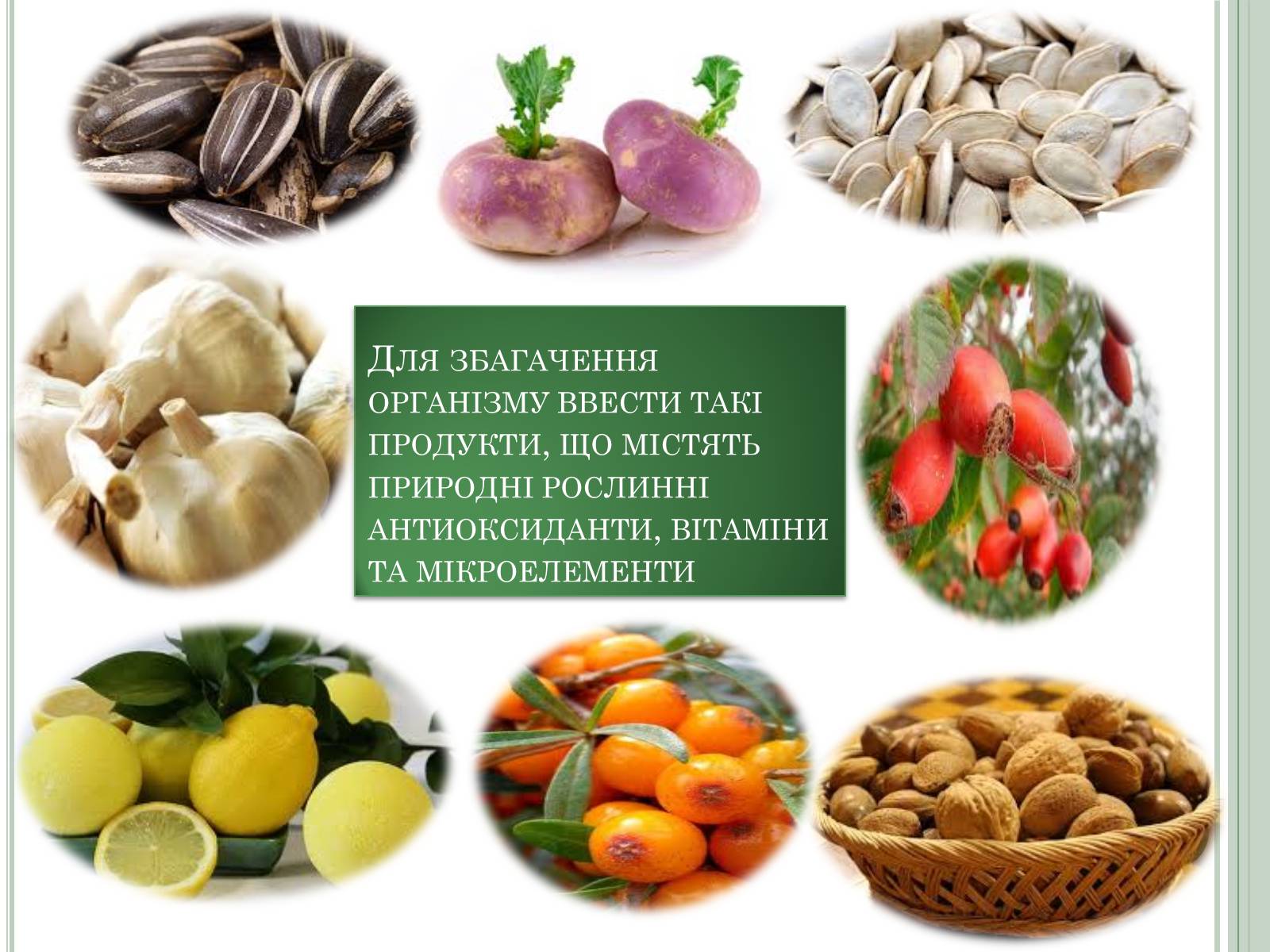 Презентація на тему «Нітратні добрива в продукції СГ» - Слайд #17 Презентація на тему «Нітратні добрива в продукції СГ» - Слайд #17