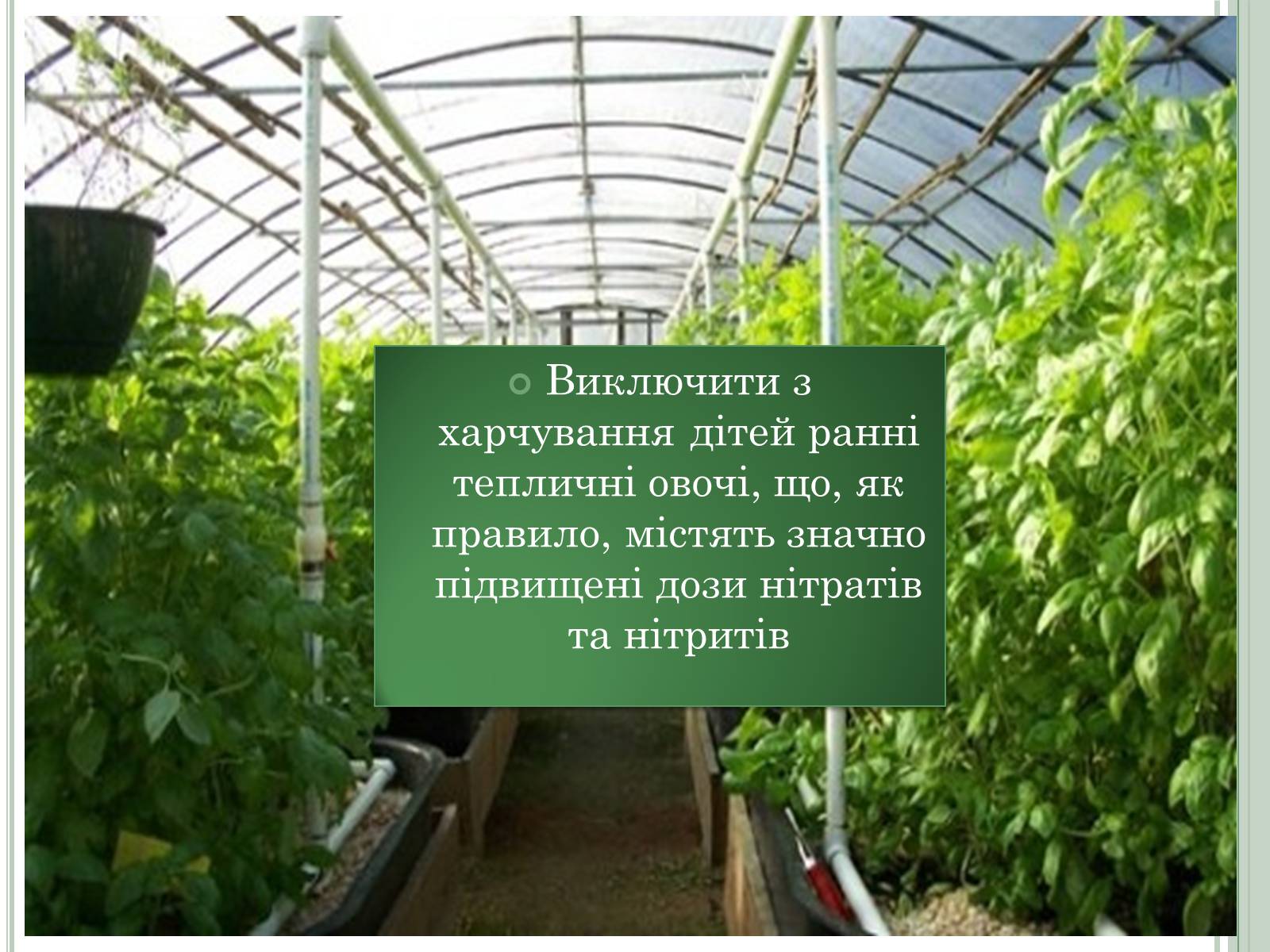 Презентація на тему «Нітратні добрива в продукції СГ» - Слайд #18 Презентація на тему «Нітратні добрива в продукції СГ» - Слайд #18