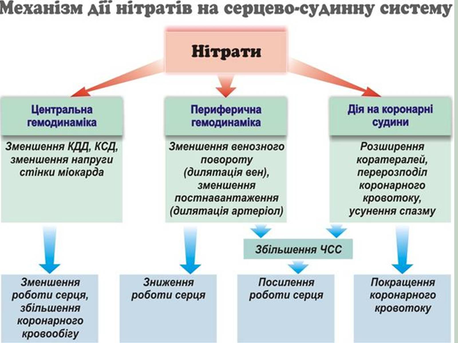 Презентація на тему «Нітратні добрива в продукції СГ» - Слайд #5 Презентація на тему «Нітратні добрива в продукції СГ» - Слайд #5