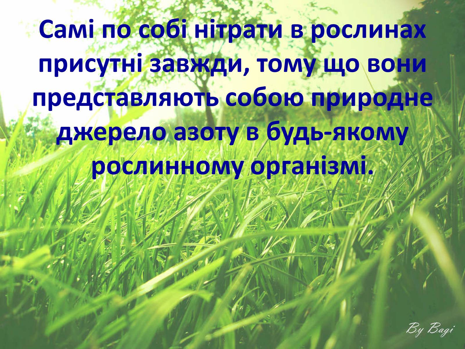 Презентація на тему «Нітрати» (варіант 1) - Слайд #16 Презентація на тему «Нітрати» (варіант 1) - Слайд #16
