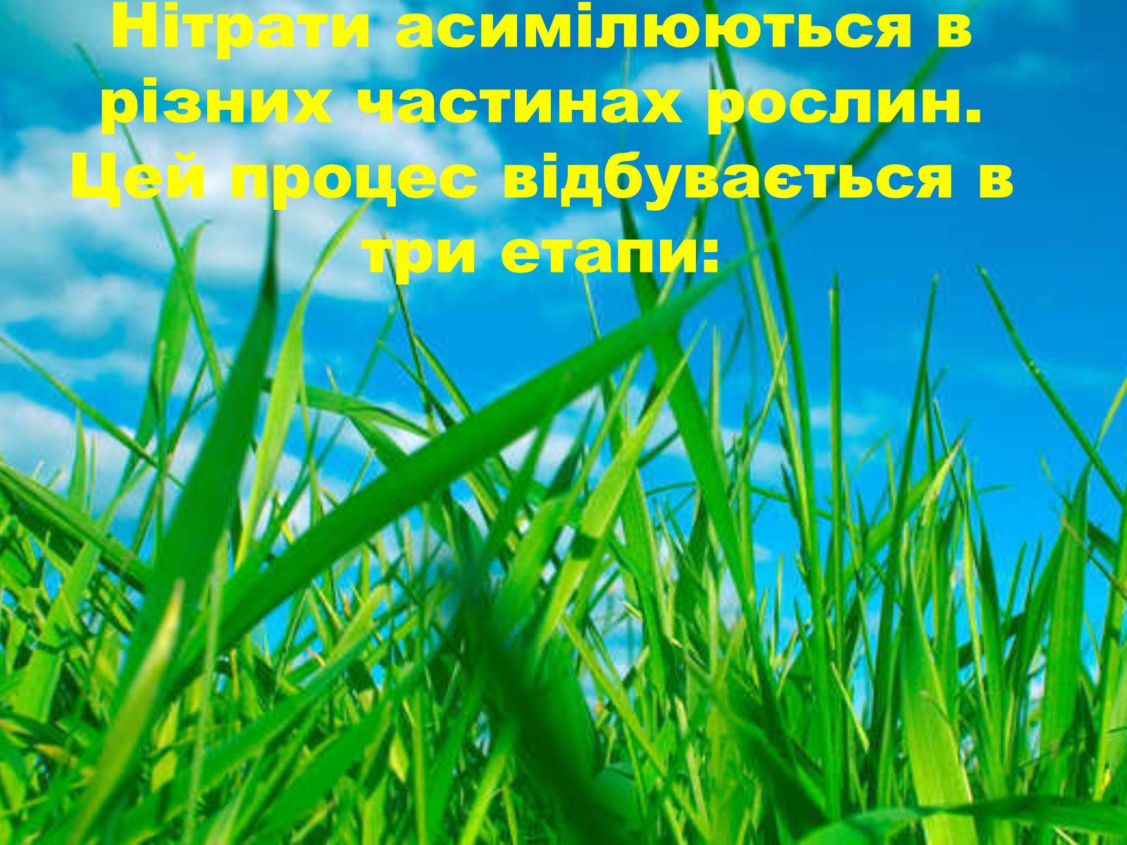 Презентація на тему «Нітрати» (варіант 1) - Слайд #18 Презентація на тему «Нітрати» (варіант 1) - Слайд #18
