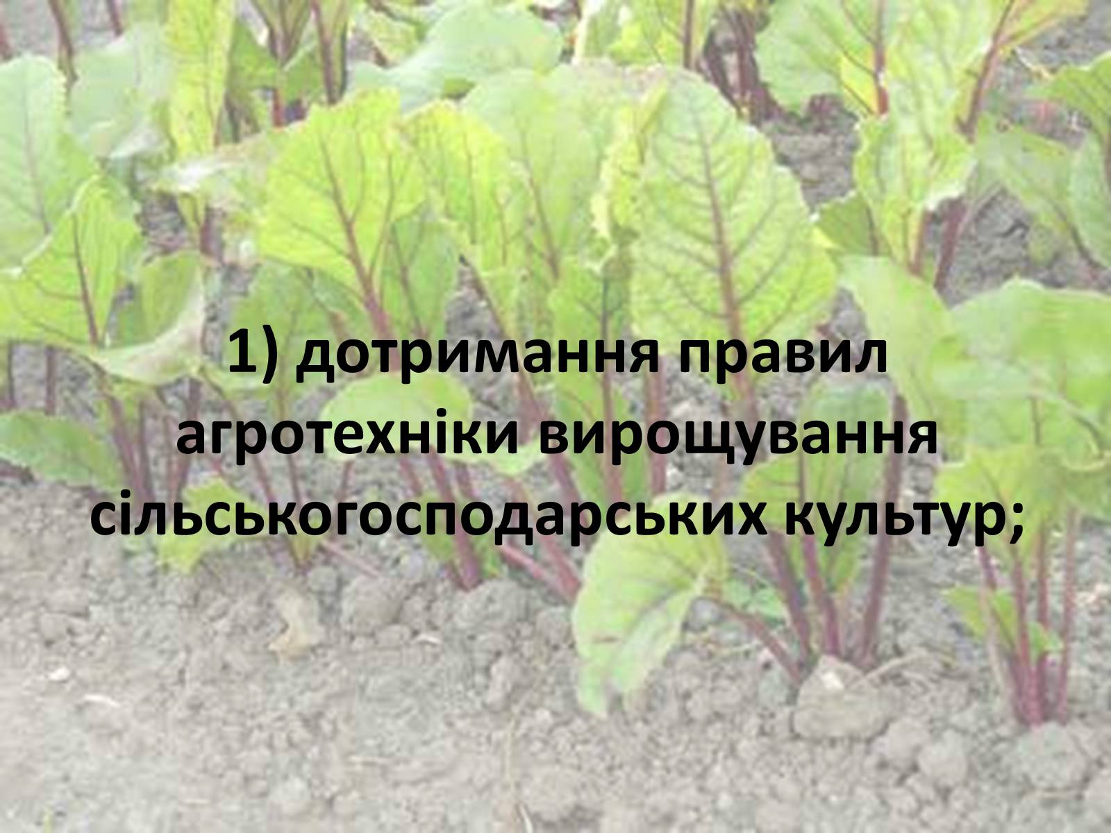 Презентація на тему «Нітрати» (варіант 1) - Слайд #38 Презентація на тему «Нітрати» (варіант 1) - Слайд #38