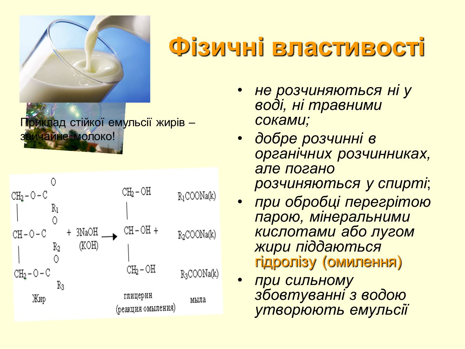 Презентація на тему «Жири» (варіант 5) - Слайд #4 Презентація на тему «Жири» (варіант 5) - Слайд #4