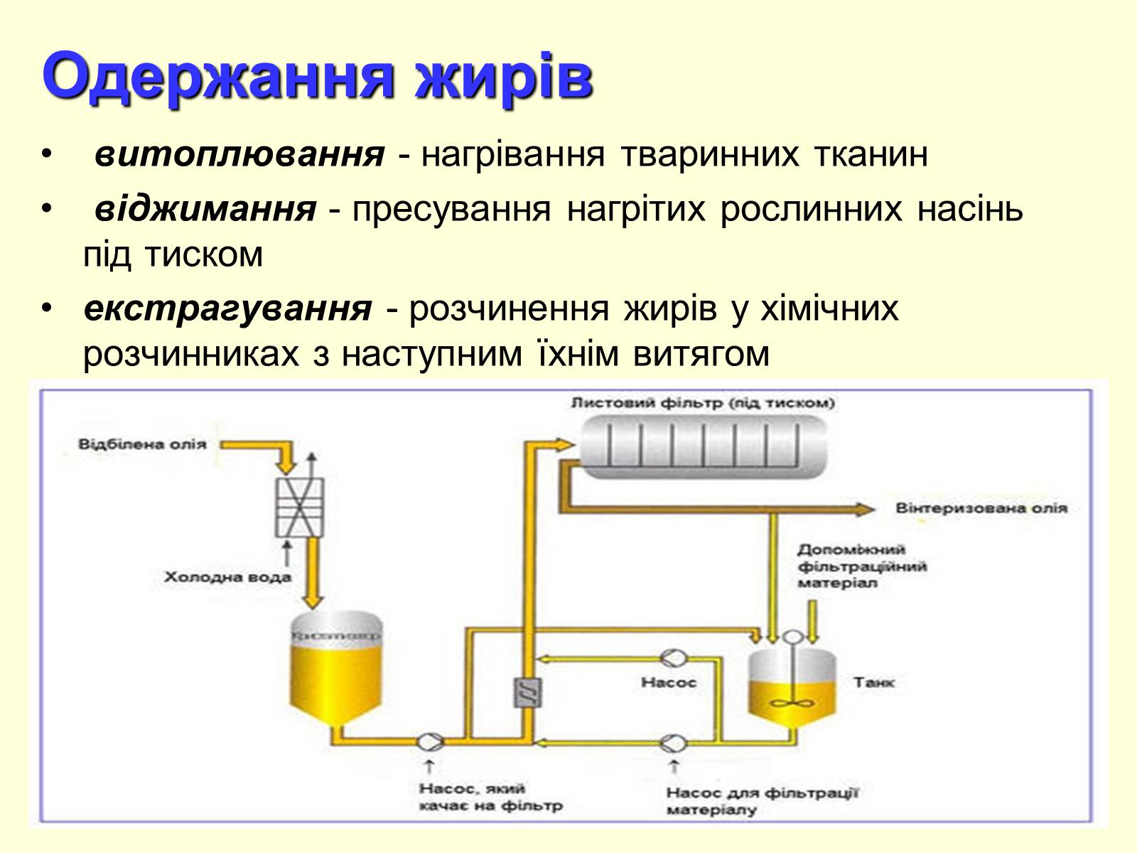 Презентація на тему «Жири» (варіант 5) - Слайд #6 Презентація на тему «Жири» (варіант 5) - Слайд #6