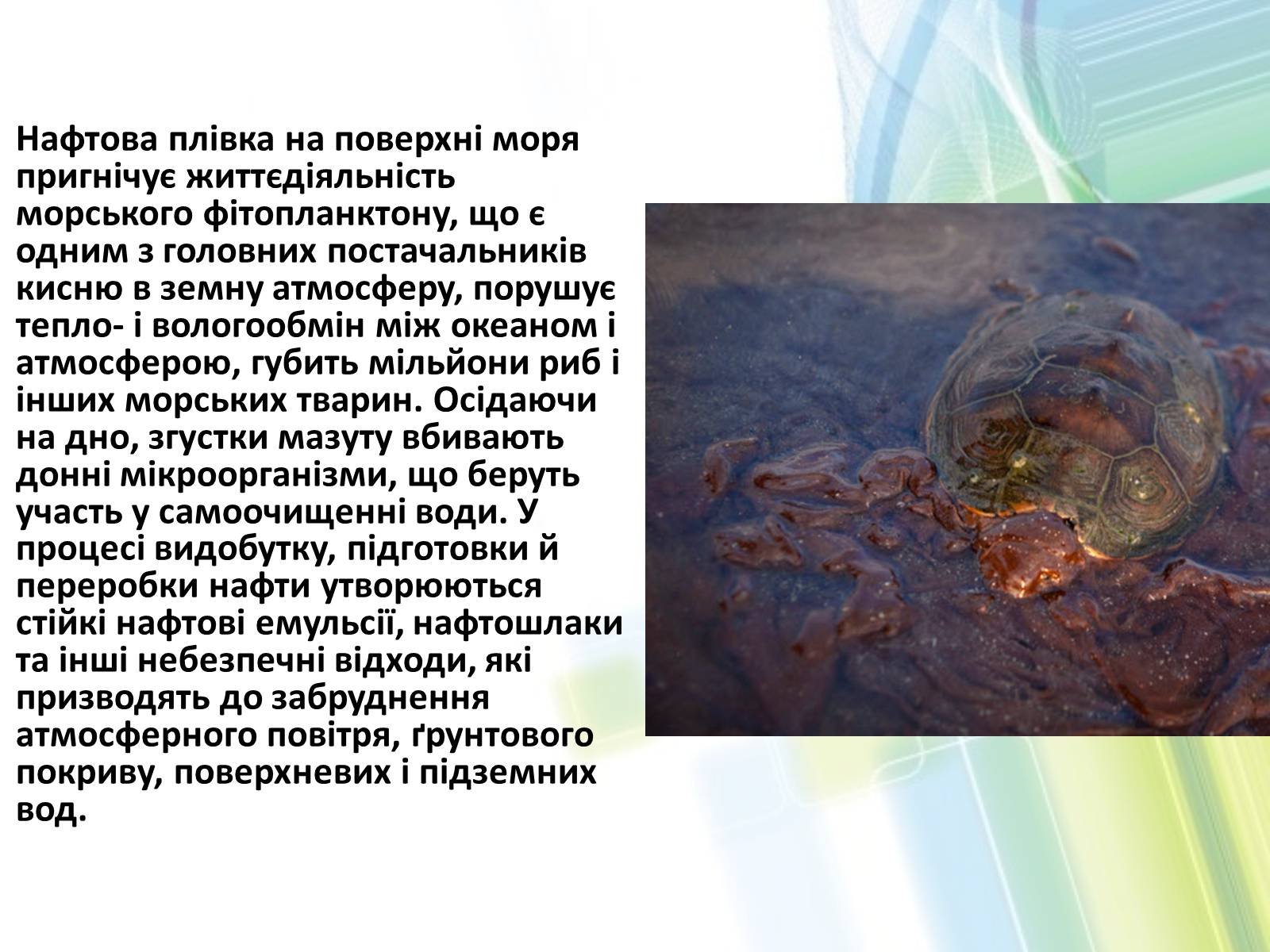 Презентація на тему «Охорона довкілля від забруднень при обробці вуглеводневої сировини» - Слайд #11 Презентація на тему «Охорона довкілля від забруднень при обробці вуглеводневої сировини» - Слайд #11