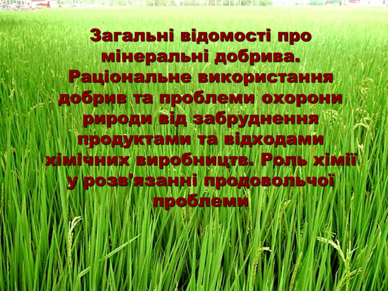 Презентація на тему «Загальні відомості про мінеральні добрива» (варіант 1) - Слайд #1 Презентація на тему «Загальні відомості про мінеральні добрива» (варіант 1) - Слайд #1