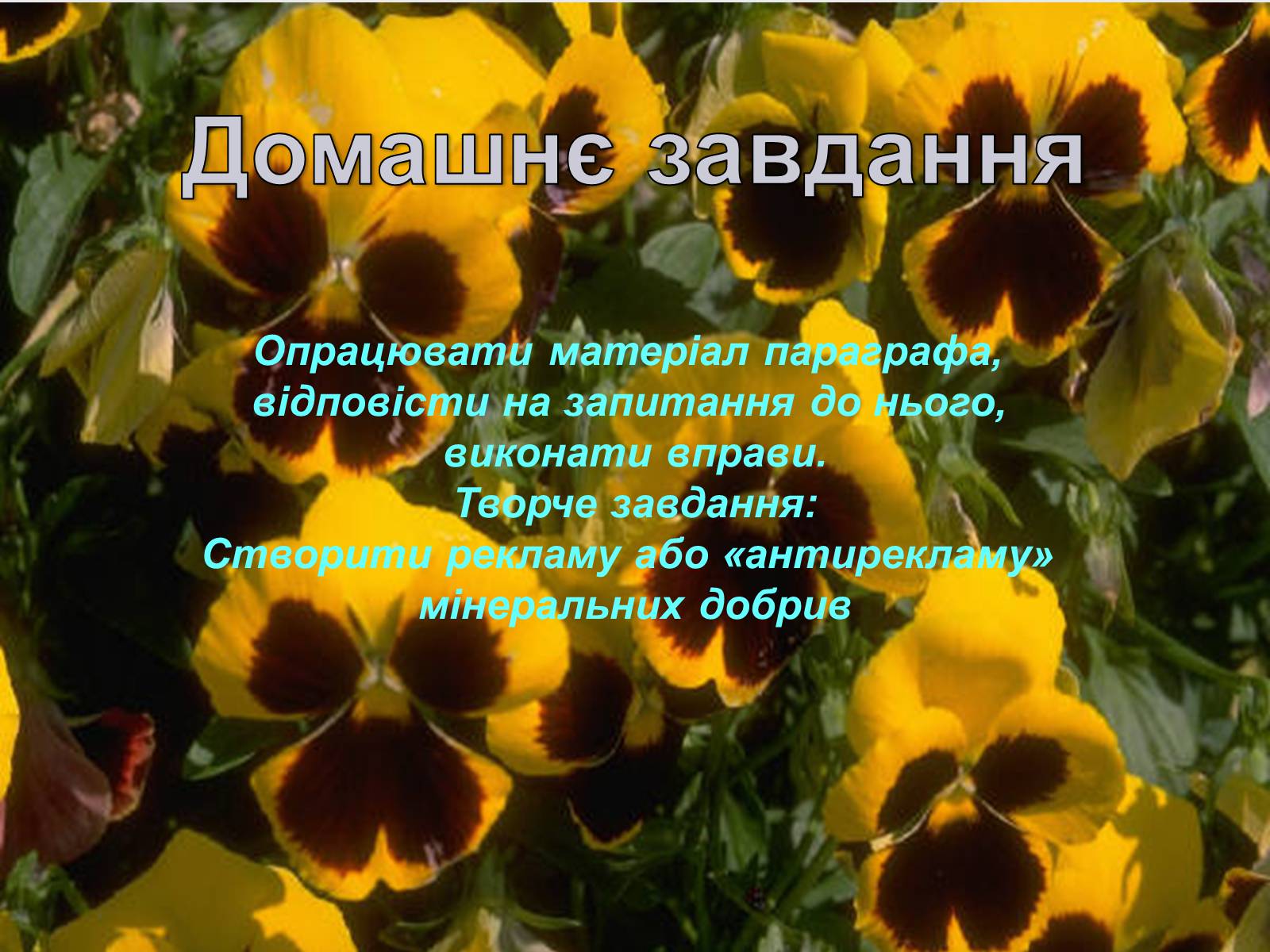 Презентація на тему «Загальні відомості про мінеральні добрива» (варіант 1) - Слайд #23 Презентація на тему «Загальні відомості про мінеральні добрива» (варіант 1) - Слайд #23