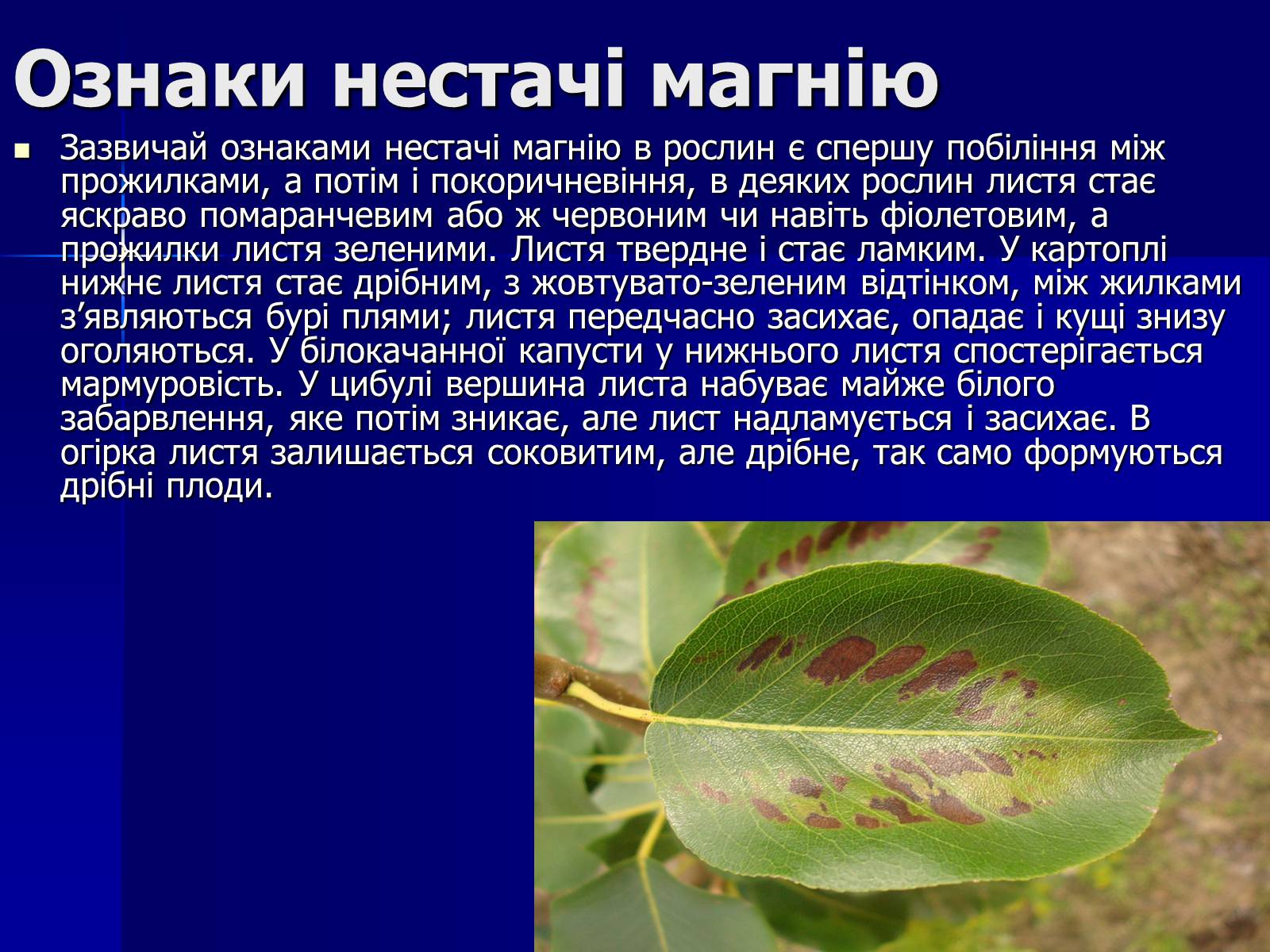 Презентація на тему «Мінеральні добрива» (варіант 6) - Слайд #15 Презентація на тему «Мінеральні добрива» (варіант 6) - Слайд #15