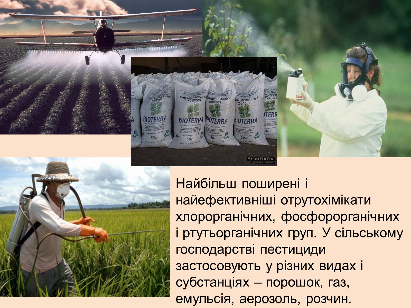 Презентація на тему «Пестециди в продуктах харчування» (варіант 1) - Слайд #3 Презентація на тему «Пестециди в продуктах харчування» (варіант 1) - Слайд #3