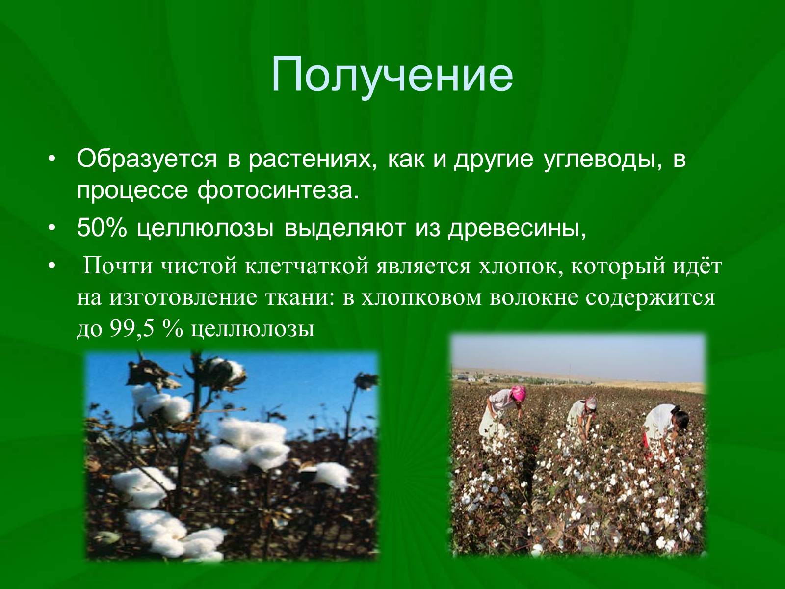 Презентація на тему «Целлюлоза» (варіант 3) - Слайд #6 Презентація на тему «Целлюлоза» (варіант 3) - Слайд #6
