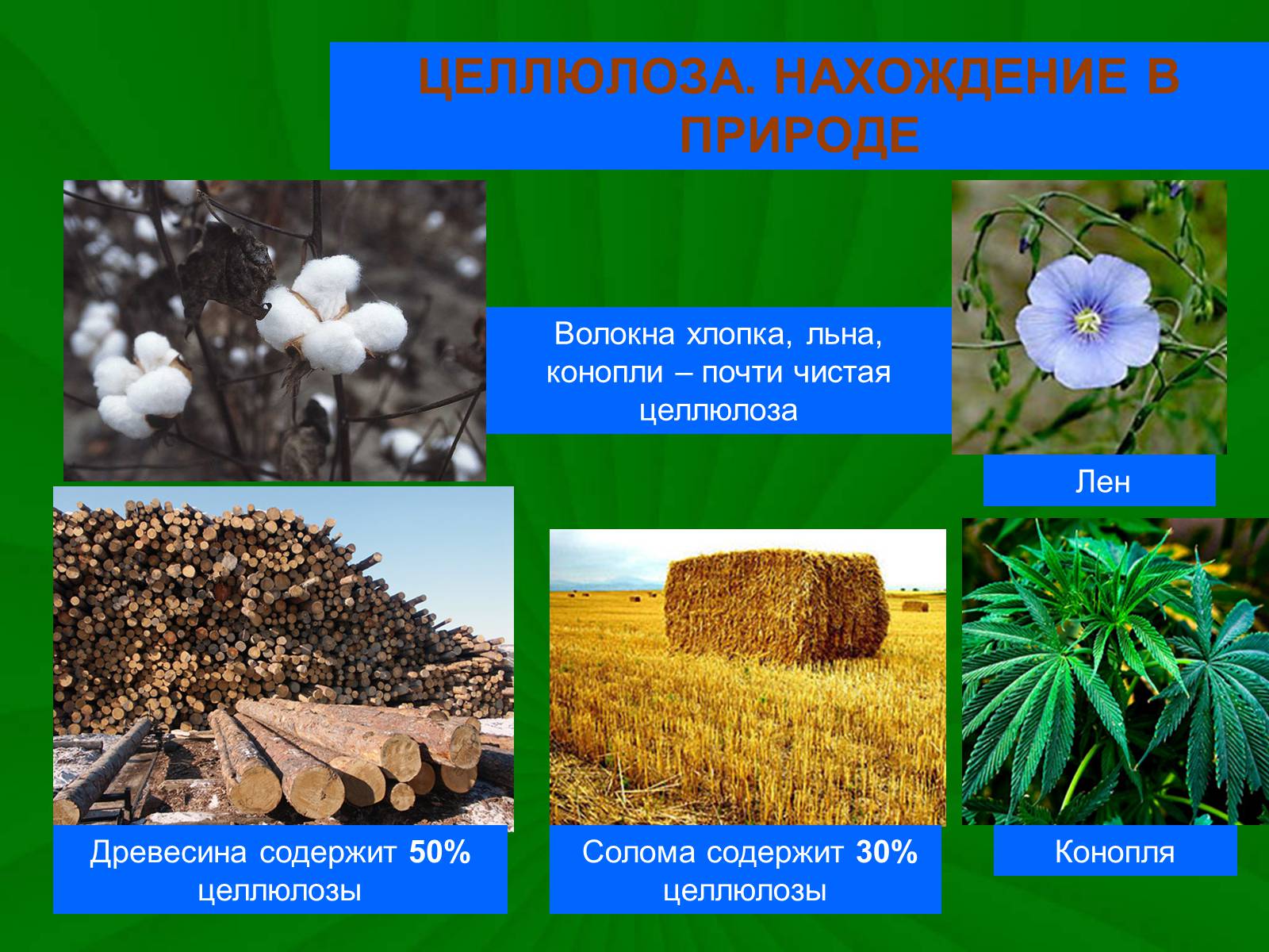 Презентація на тему «Целлюлоза» (варіант 3) - Слайд #7 Презентація на тему «Целлюлоза» (варіант 3) - Слайд #7