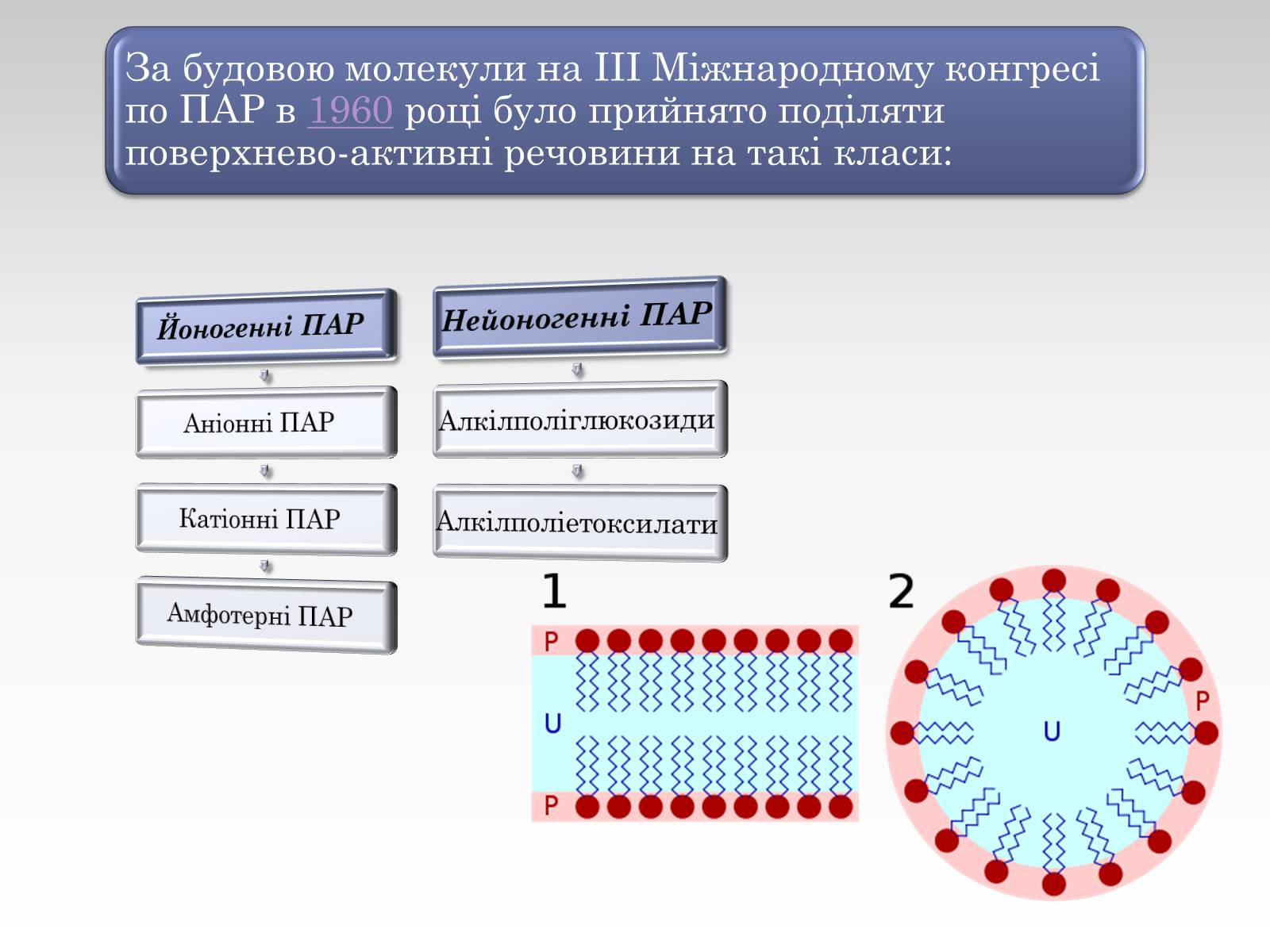 Презентація на тему «Вплив лаурилсульфат натрію на організм людини» - Слайд #12 Презентація на тему «Вплив лаурилсульфат натрію на організм людини» - Слайд #12