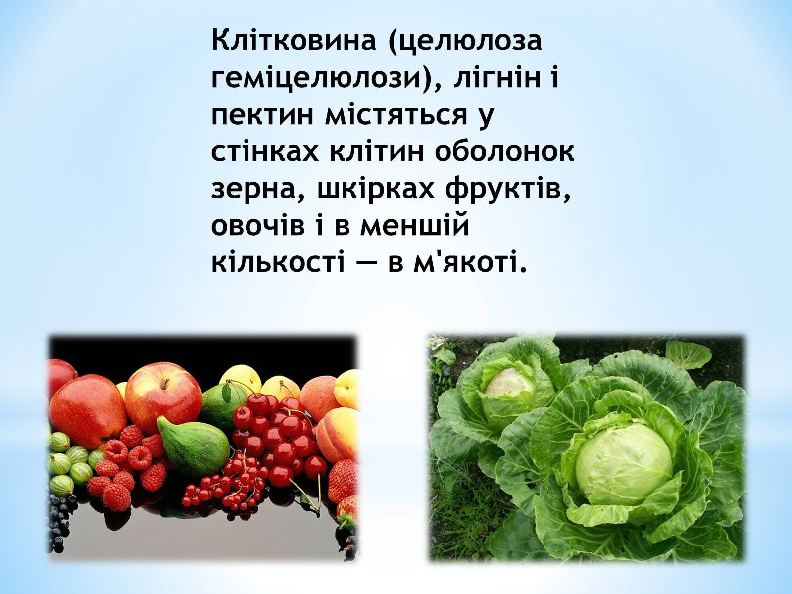 Презентація на тему «Органічні сполуки, як компоненти їжі» - Слайд #14 Презентація на тему «Органічні сполуки, як компоненти їжі» - Слайд #14