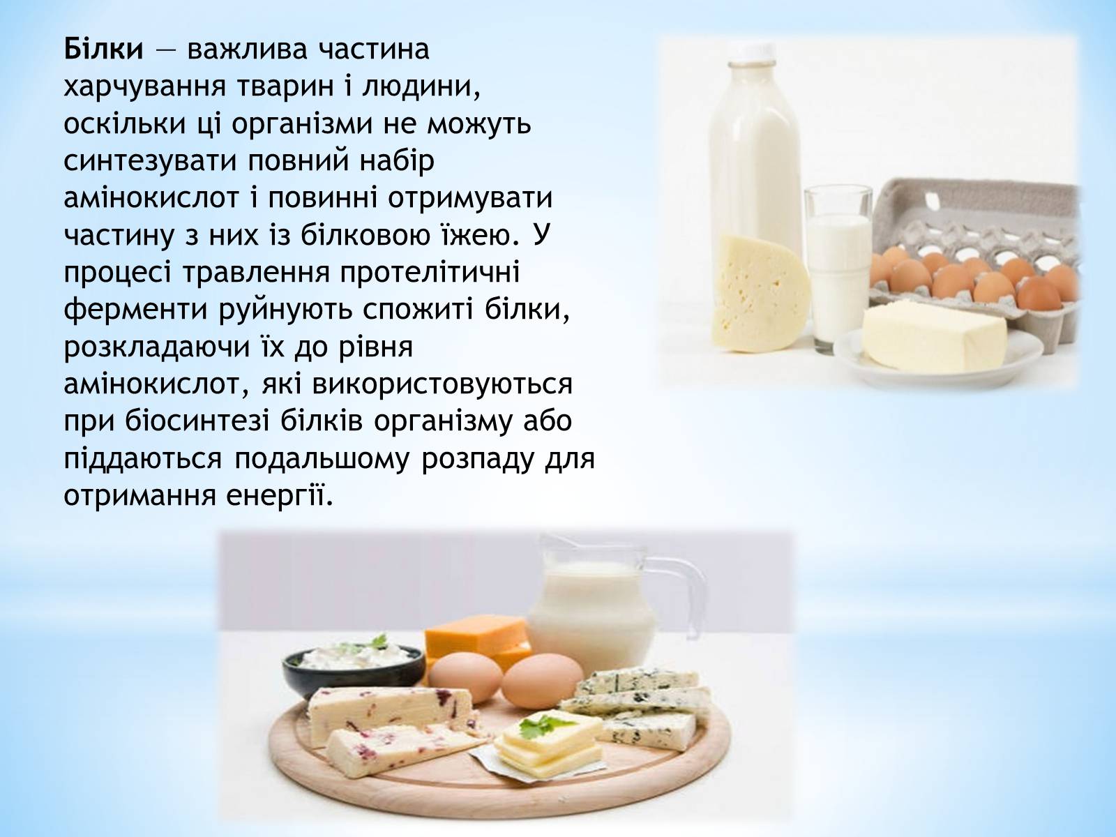 Презентація на тему «Органічні сполуки, як компоненти їжі» - Слайд #16 Презентація на тему «Органічні сполуки, як компоненти їжі» - Слайд #16