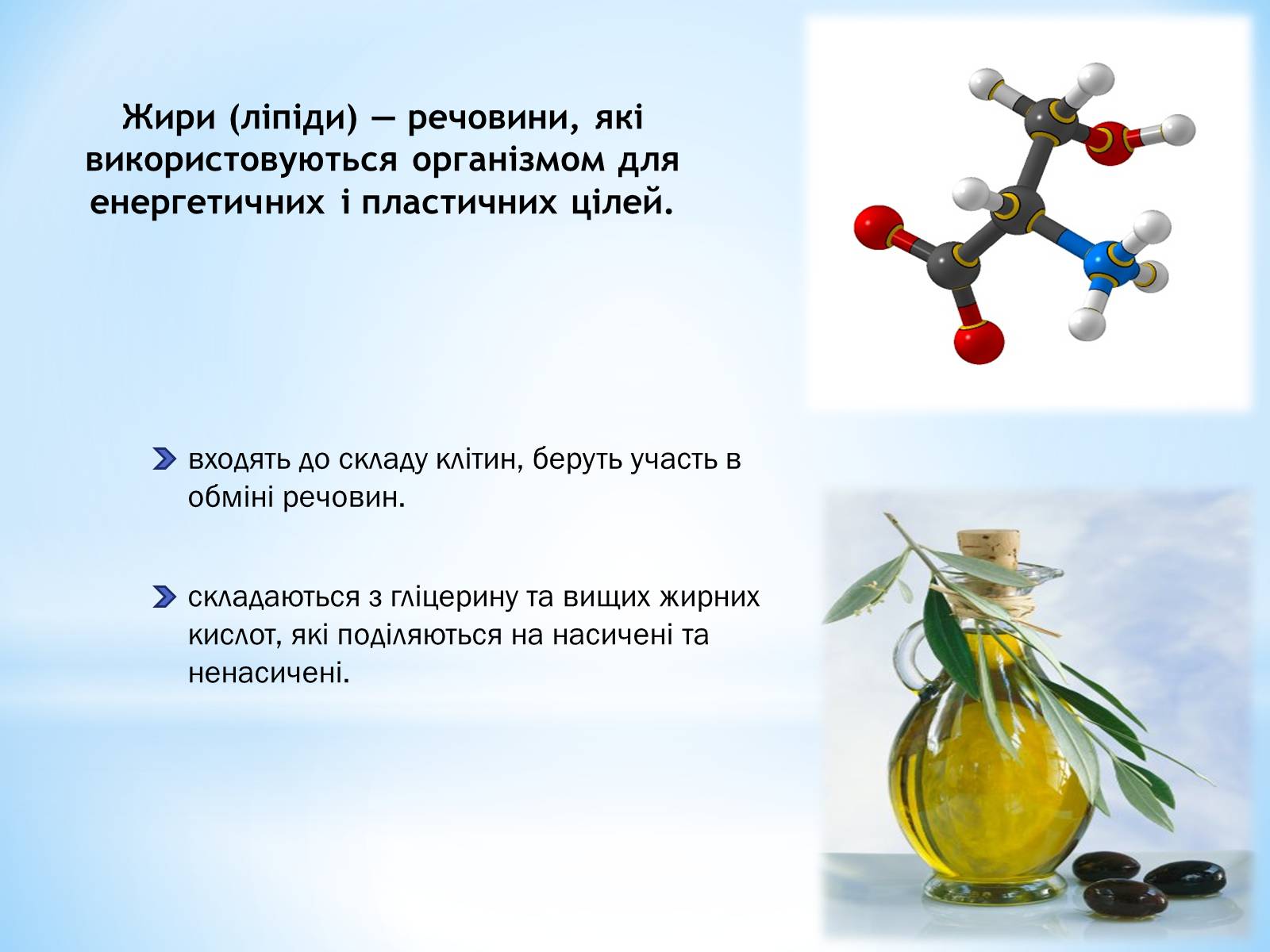 Презентація на тему «Органічні сполуки, як компоненти їжі» - Слайд #3 Презентація на тему «Органічні сполуки, як компоненти їжі» - Слайд #3
