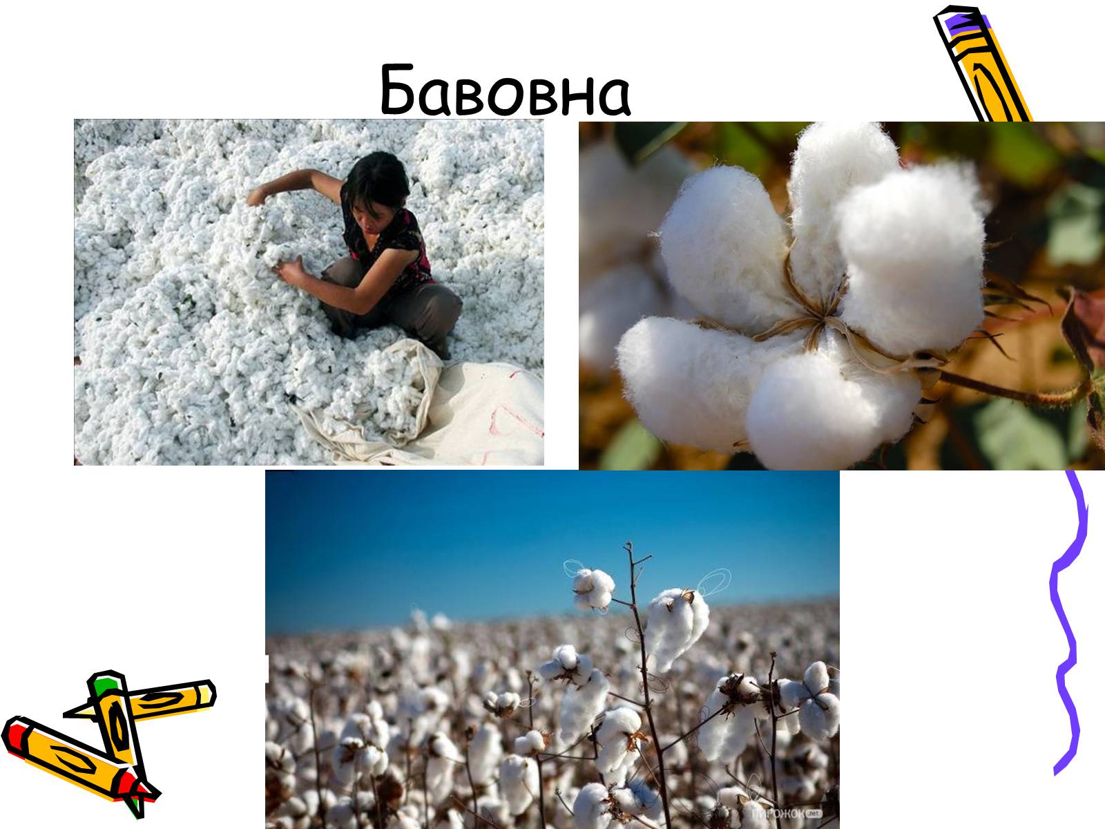 Презентація на тему «Колекція волокон» - Слайд #3