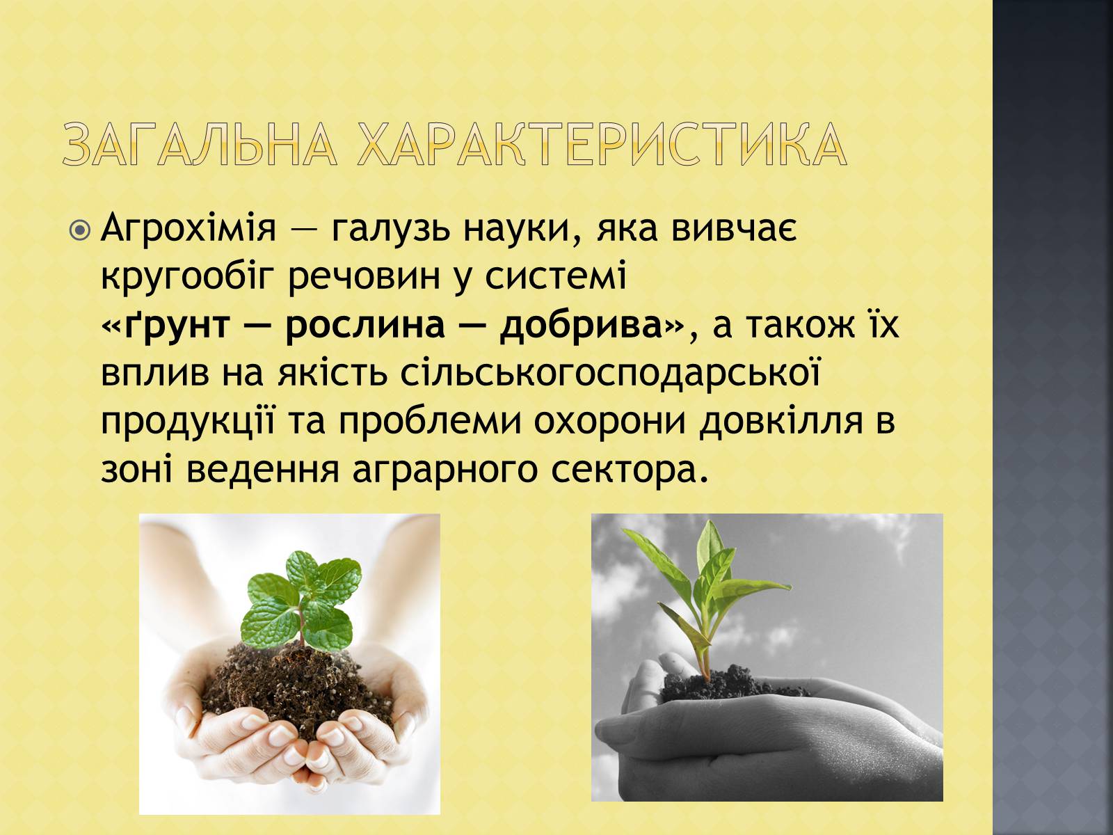 Презентація на тему «Агрохімія» - Слайд #3 Презентація на тему «Агрохімія» - Слайд #3