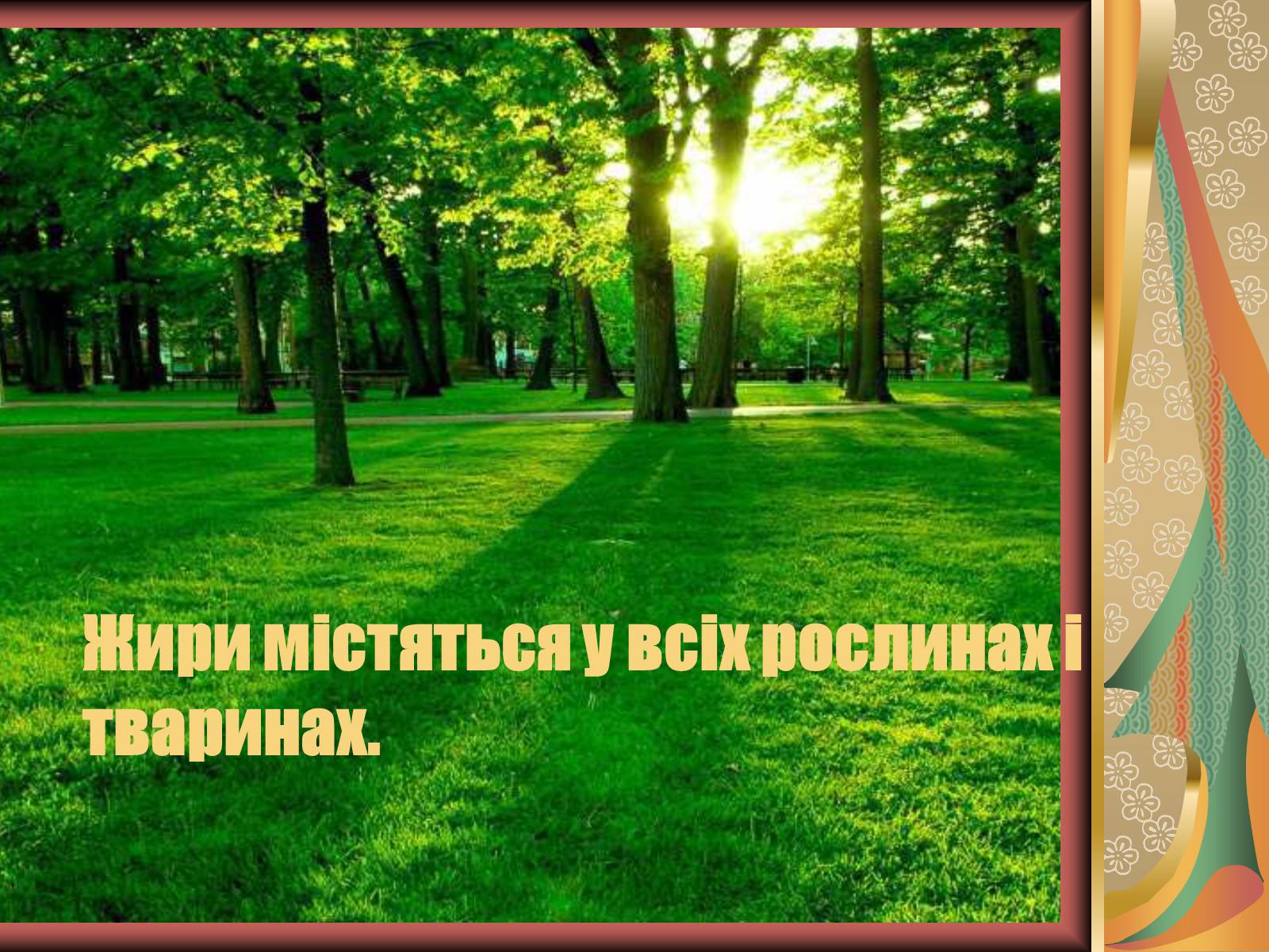 Презентація на тему «Жири» (варіант 10) - Слайд #23 Презентація на тему «Жири» (варіант 10) - Слайд #23