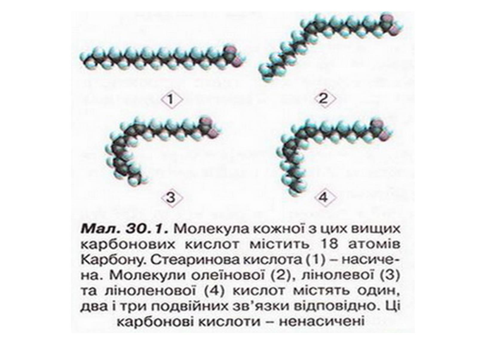 Презентація на тему «Жири» (варіант 4) - Слайд #11 Презентація на тему «Жири» (варіант 4) - Слайд #11