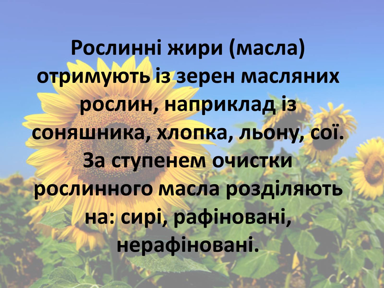 Презентація на тему «Жири» (варіант 4) - Слайд #29 Презентація на тему «Жири» (варіант 4) - Слайд #29
