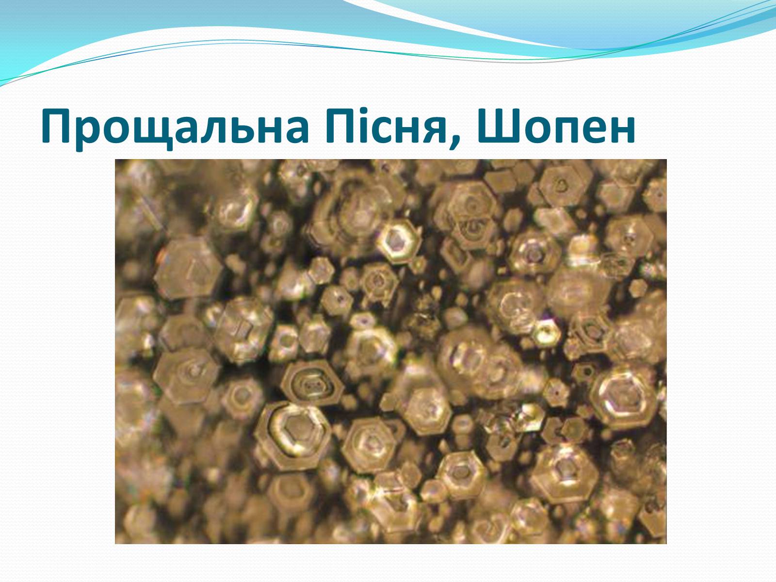 Презентація на тему «Кристали води» - Слайд #13 Презентація на тему «Кристали води» - Слайд #13